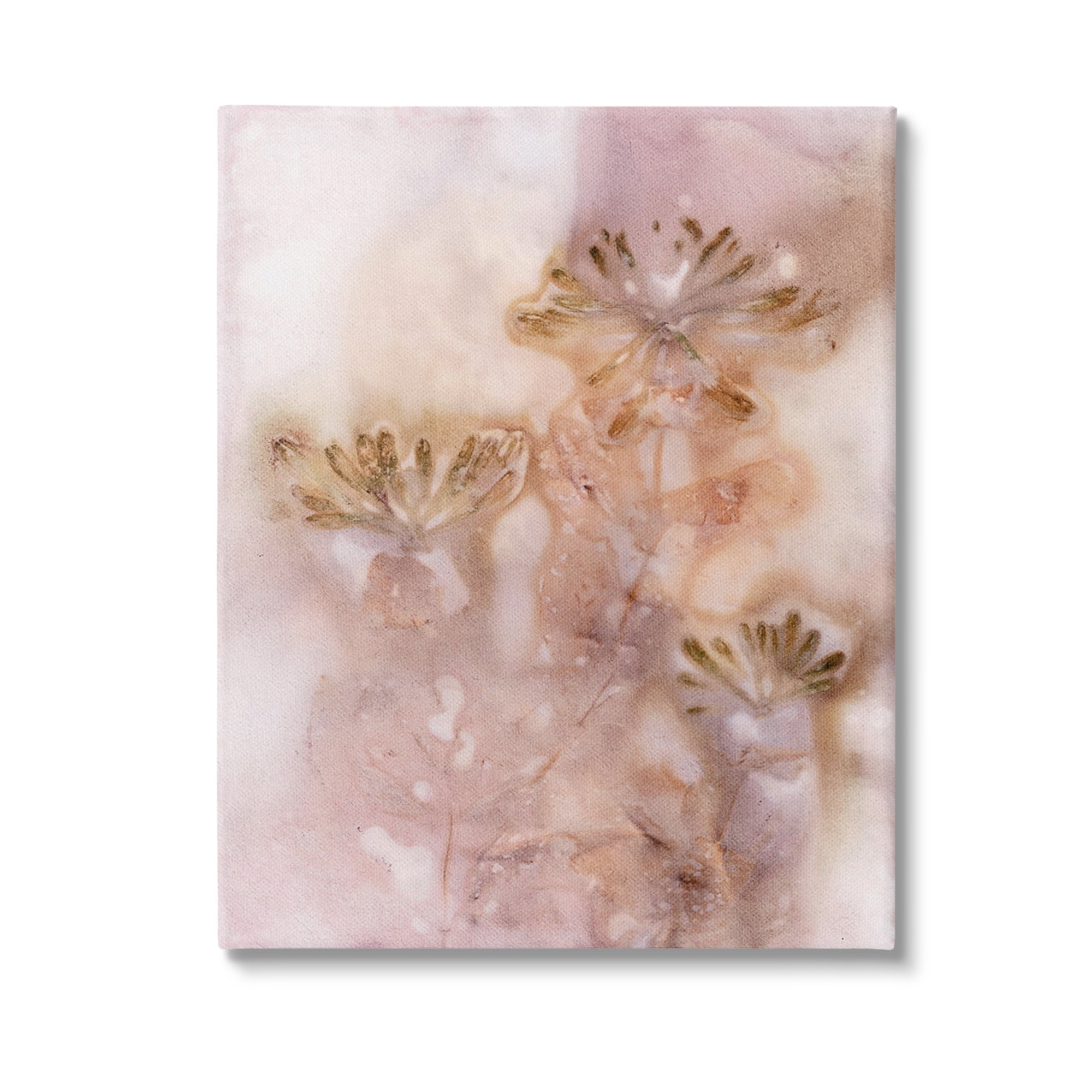 Stupell Industries Abstract Botanical Seeds Botanical & Floral Painting Gallery Wrapped Canvas Art Print Wall Art, 24 x 30
