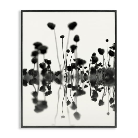 Stupell Industries Abstract Botanical Sprigs Botanical & Floral Painting Black Framed Art Print Wall Art, 11 x 14