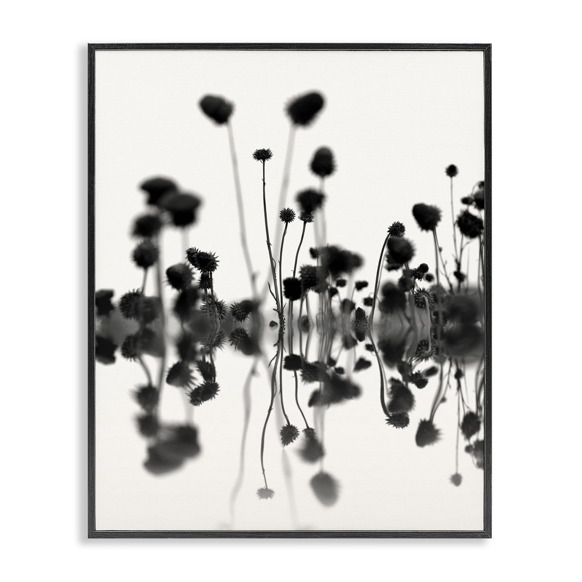 Stupell Industries Abstract Botanical Sprigs Botanical & Floral Painting Black Framed Art Print Wall Art, 24 x 30