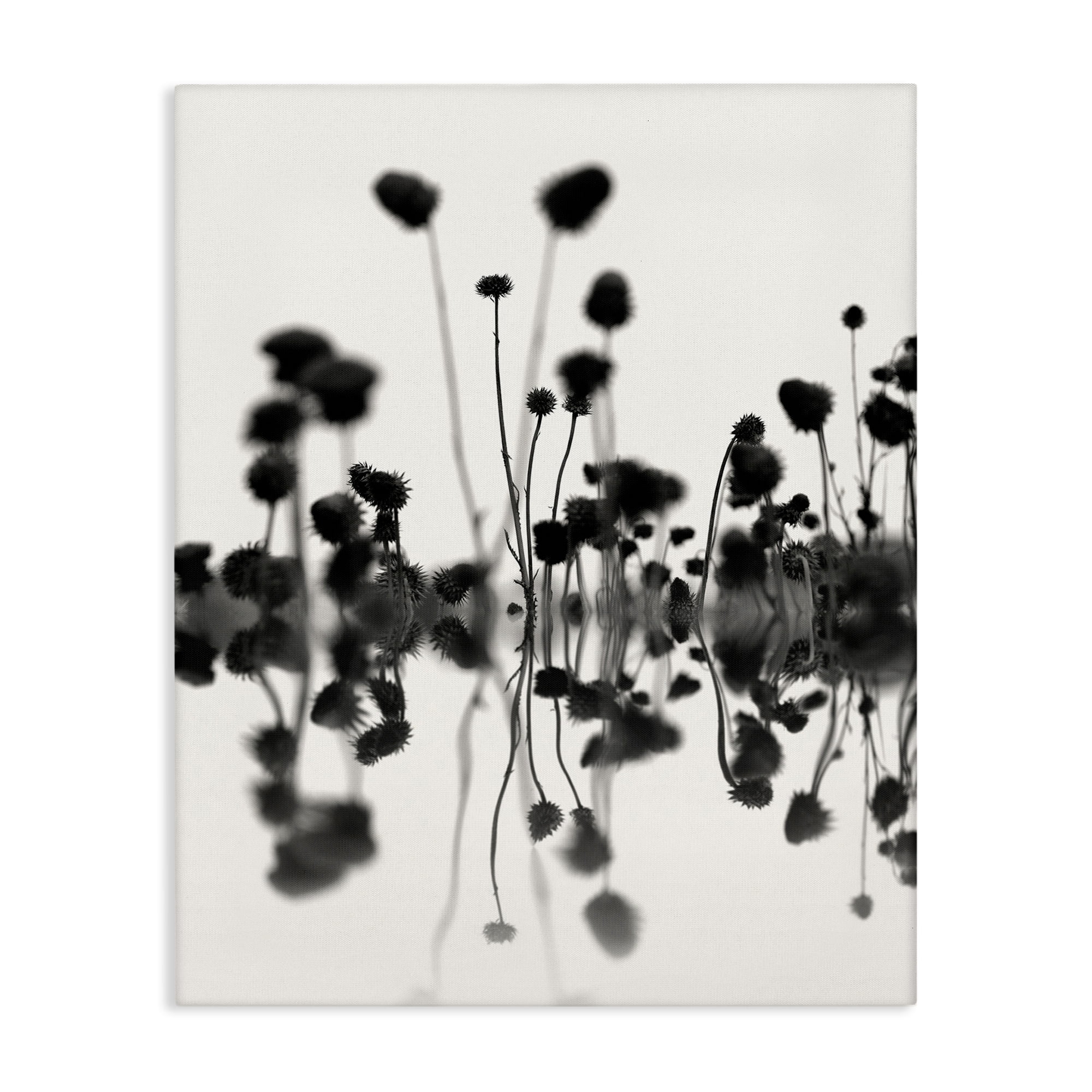 Stupell Industries Abstract Botanical Sprigs Botanical & Floral Painting Gallery Wrapped Canvas Art Print Wall Art, 30 x 40