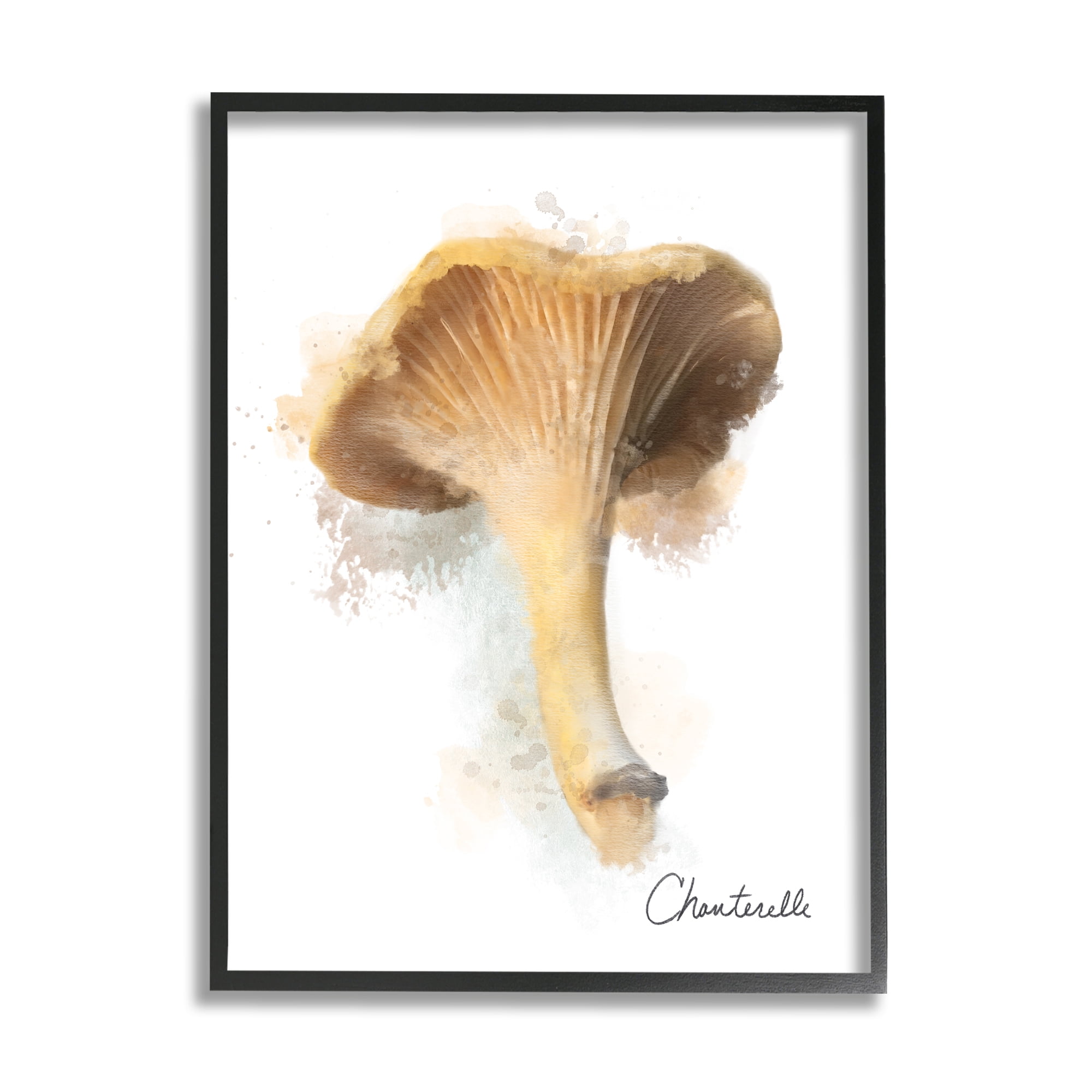 Stupell Industries Abstract Chanterelle Mushroom Botanical & Floral Painting Black Framed Art Print Wall Art, 24 x 30