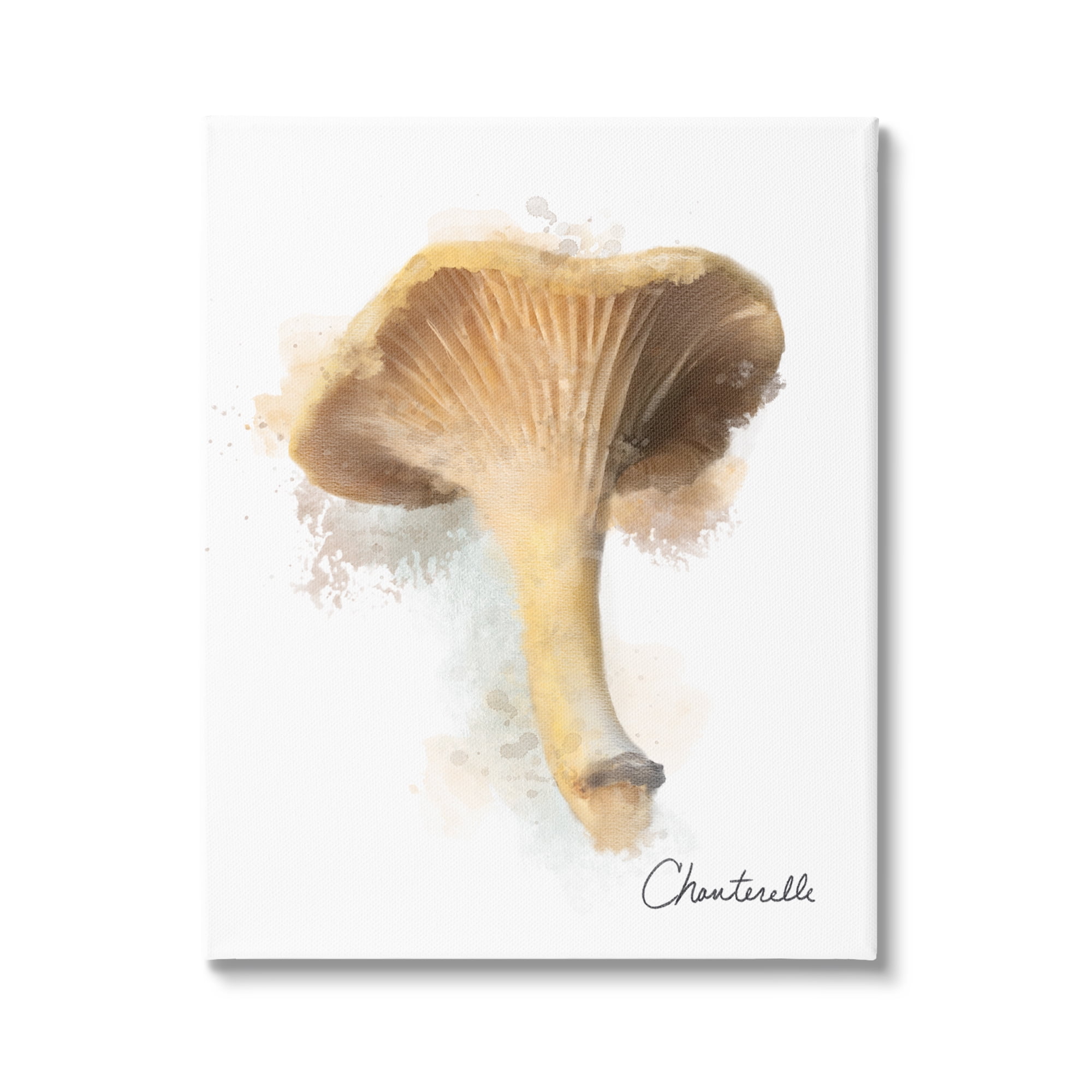 Stupell Industries Abstract Chanterelle Mushroom Botanical & Floral Painting Gallery Wrapped Canvas Art Print Wall Art, 30 x 40