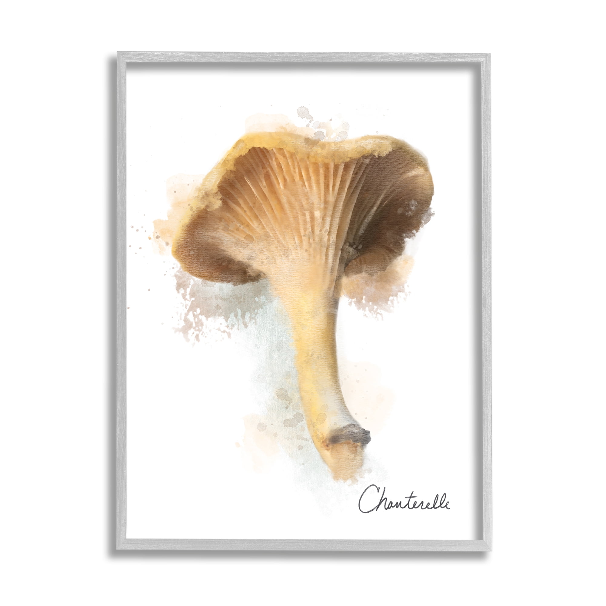Stupell Industries Abstract Chanterelle Mushroom Botanical & Floral Painting Gray Framed Art Print Wall Art, 24 x 30