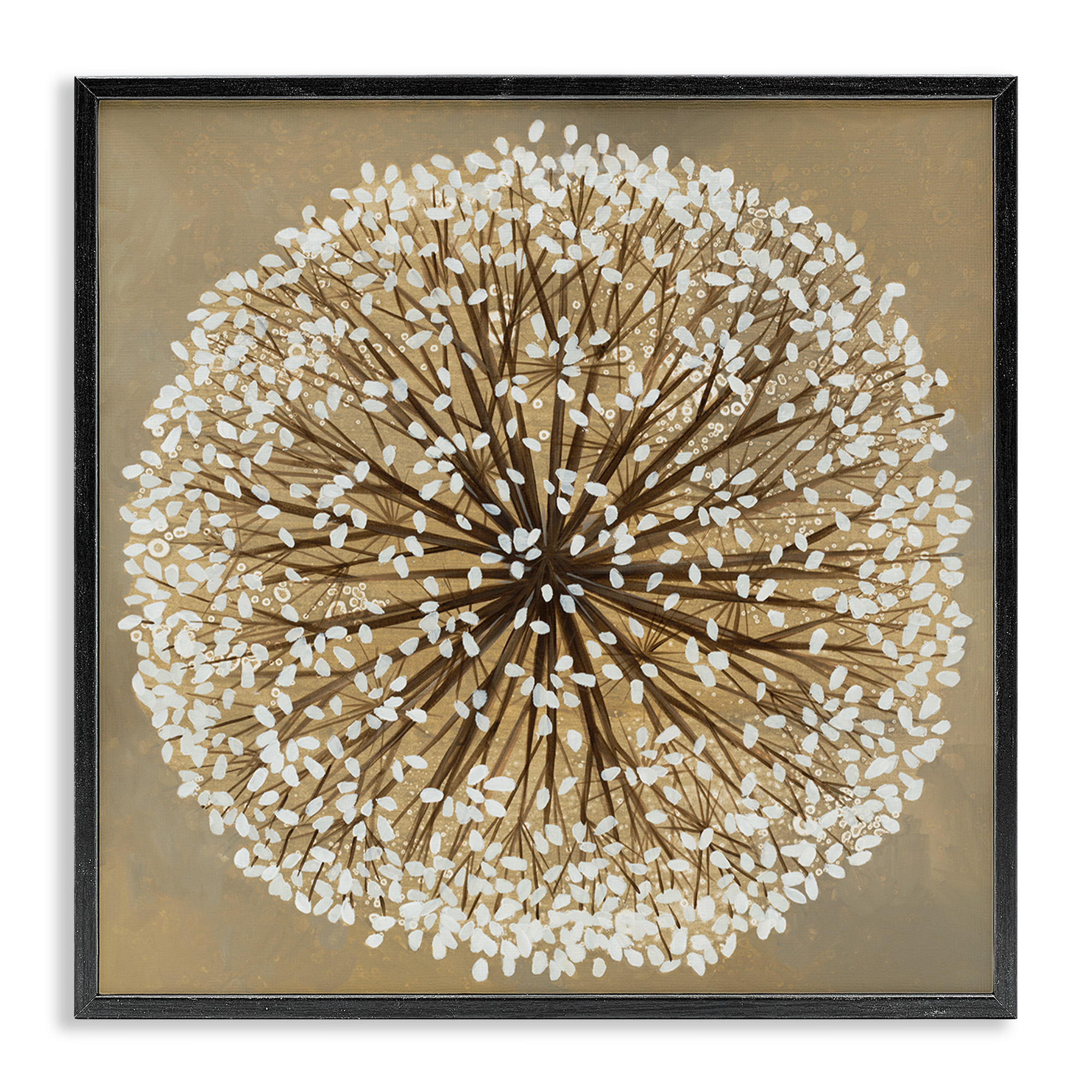 Stupell Industries Abstract Dandelion Flower Full Bloom Botanical & Floral Painting Black Framed Art Print Wall Art, 17 x 17