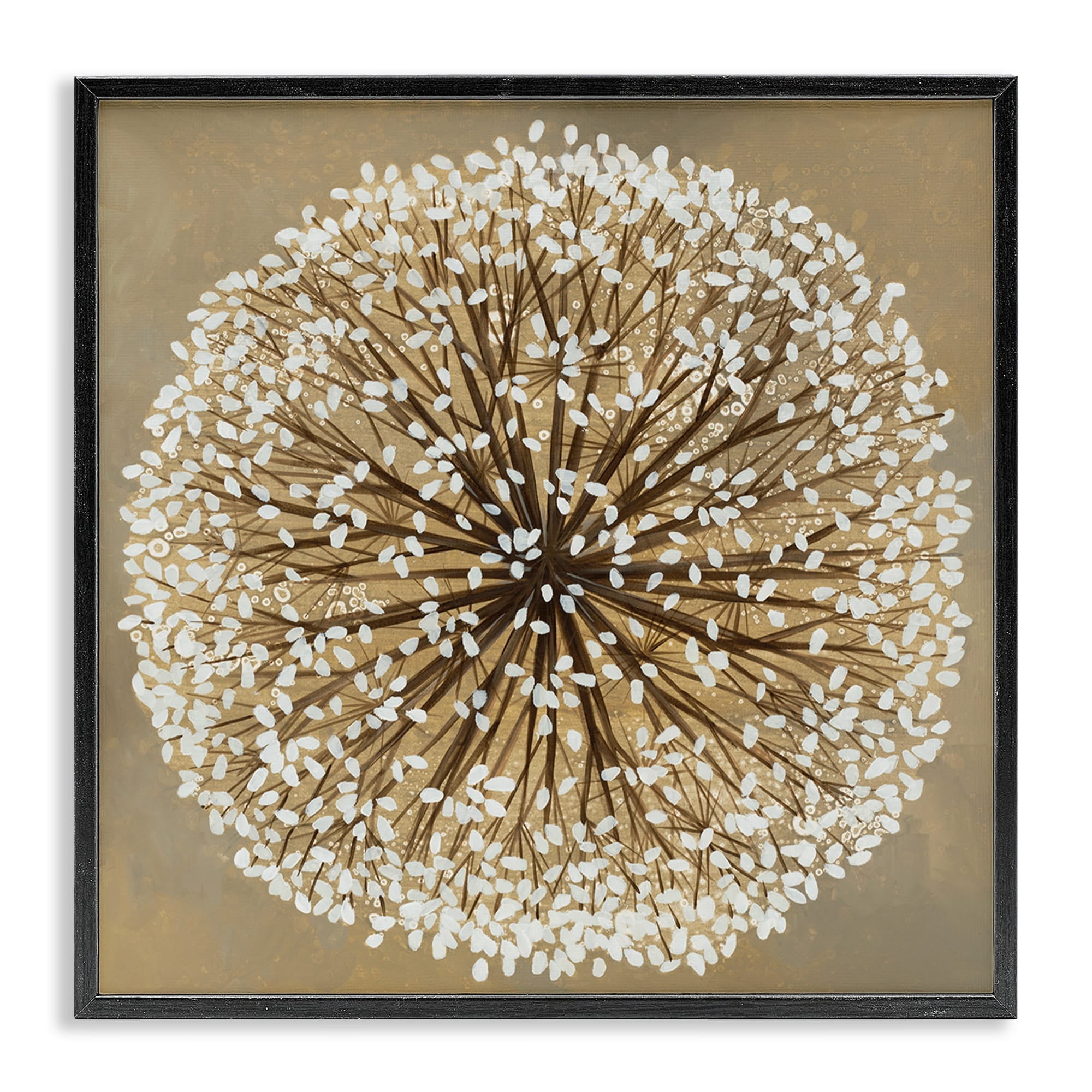 Stupell Industries Abstract Dandelion Flower Full Bloom Brown White Framed Wall Art Design by Liz Jardine, 12" x 12", Black Framed