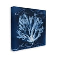 thumbnail image 1 of Stupell Industries Abstract Design Coral Script Nautical Blue White Canvas Wall Art Design by Liz Jardine, 30" x 30", 1 of 1