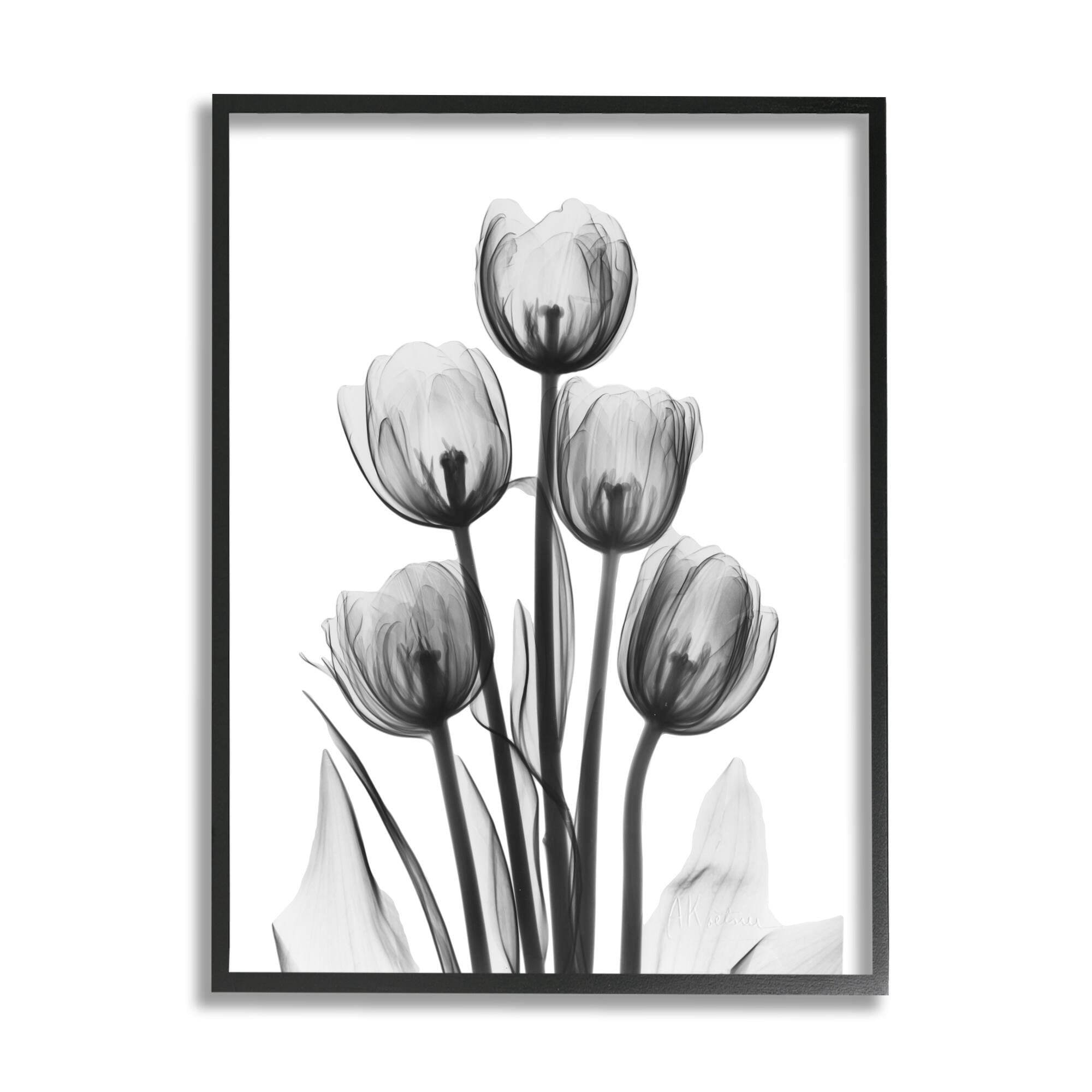 Stupell Industries Abstract Flower Silhouette Monochrome Tulips Design, 11 x 14, Design by Albert Koetsier