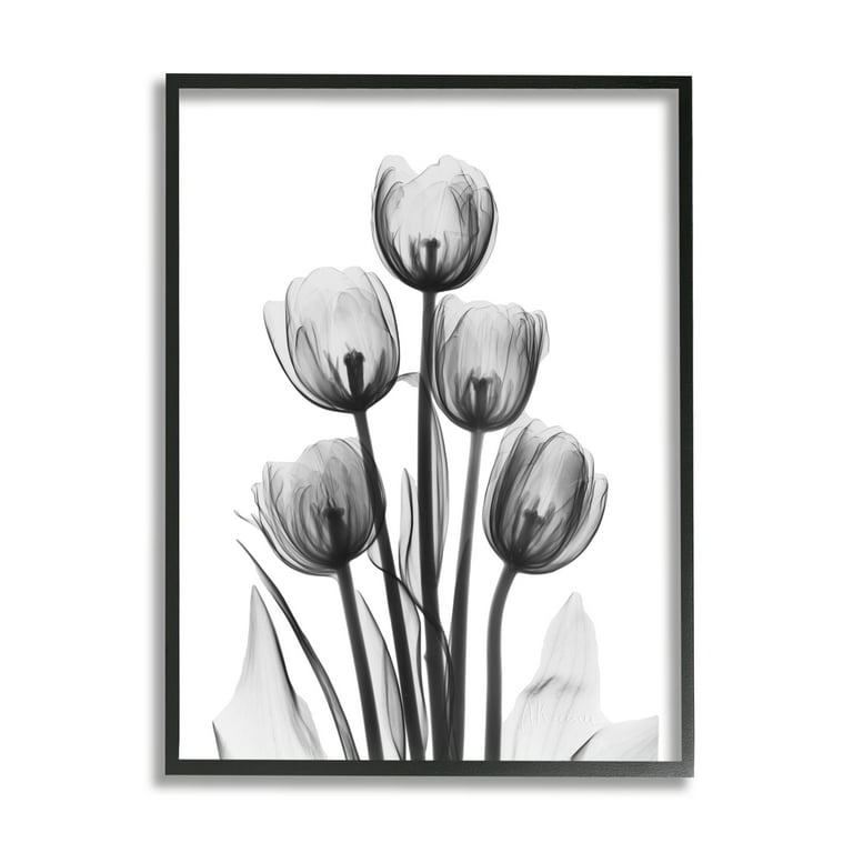 Stupell Industries Abstract Flower Silhouette Monochrome Tulips Design, 11  x 14, Design by Albert Koetsier