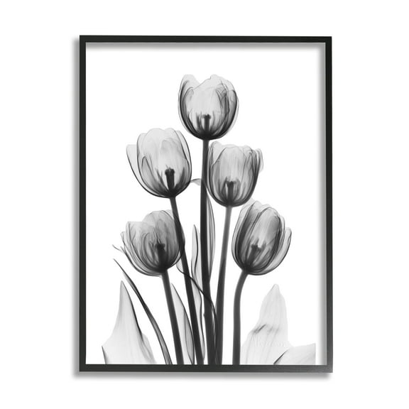 Stupell Industries Abstract Flower Silhouette Monochrome Tulips Design, 16 x 20, Design by Albert Koetsier