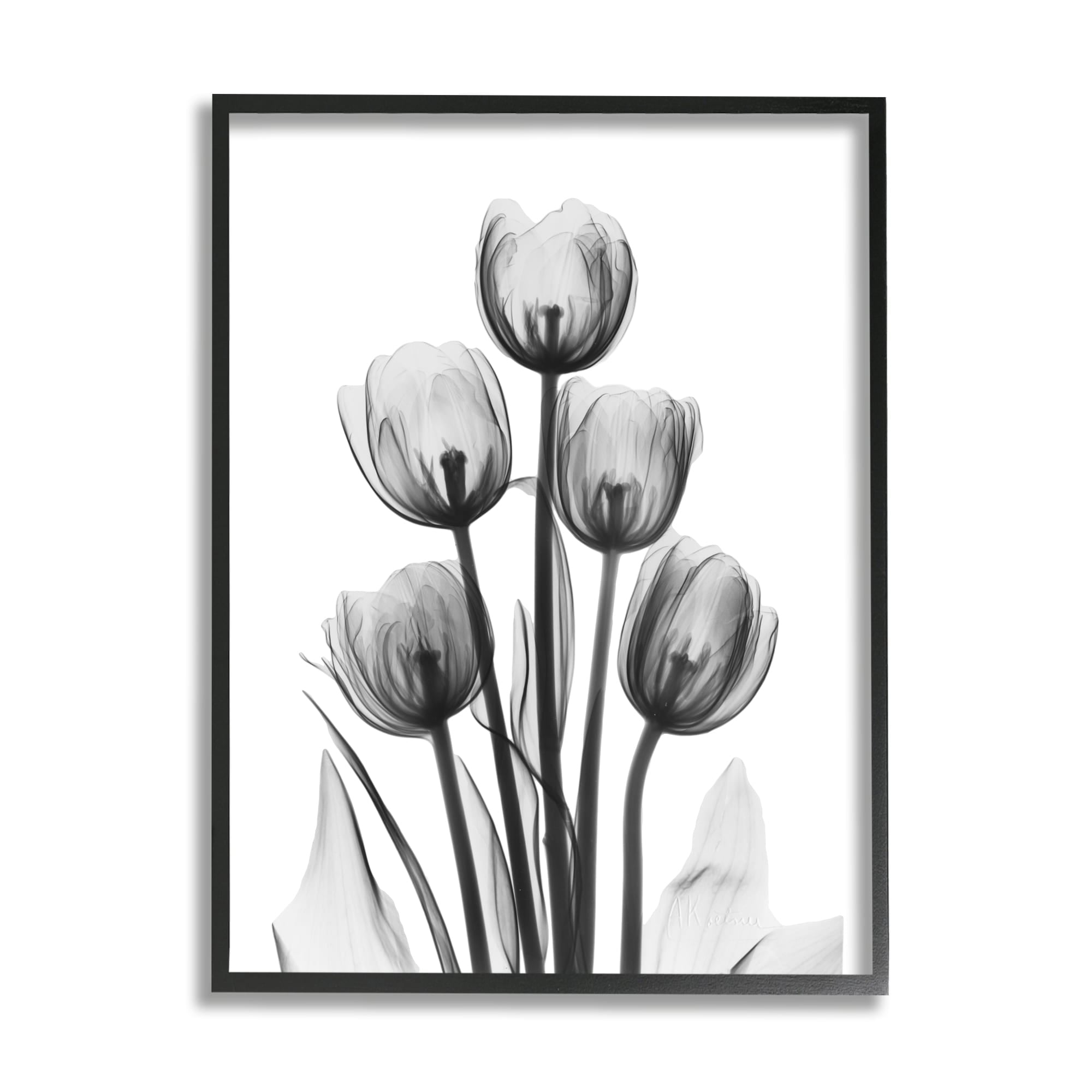 Stupell Industries Abstract Flower Silhouette Monochrome Tulips Design, 24 x 30, Design by Albert Koetsier