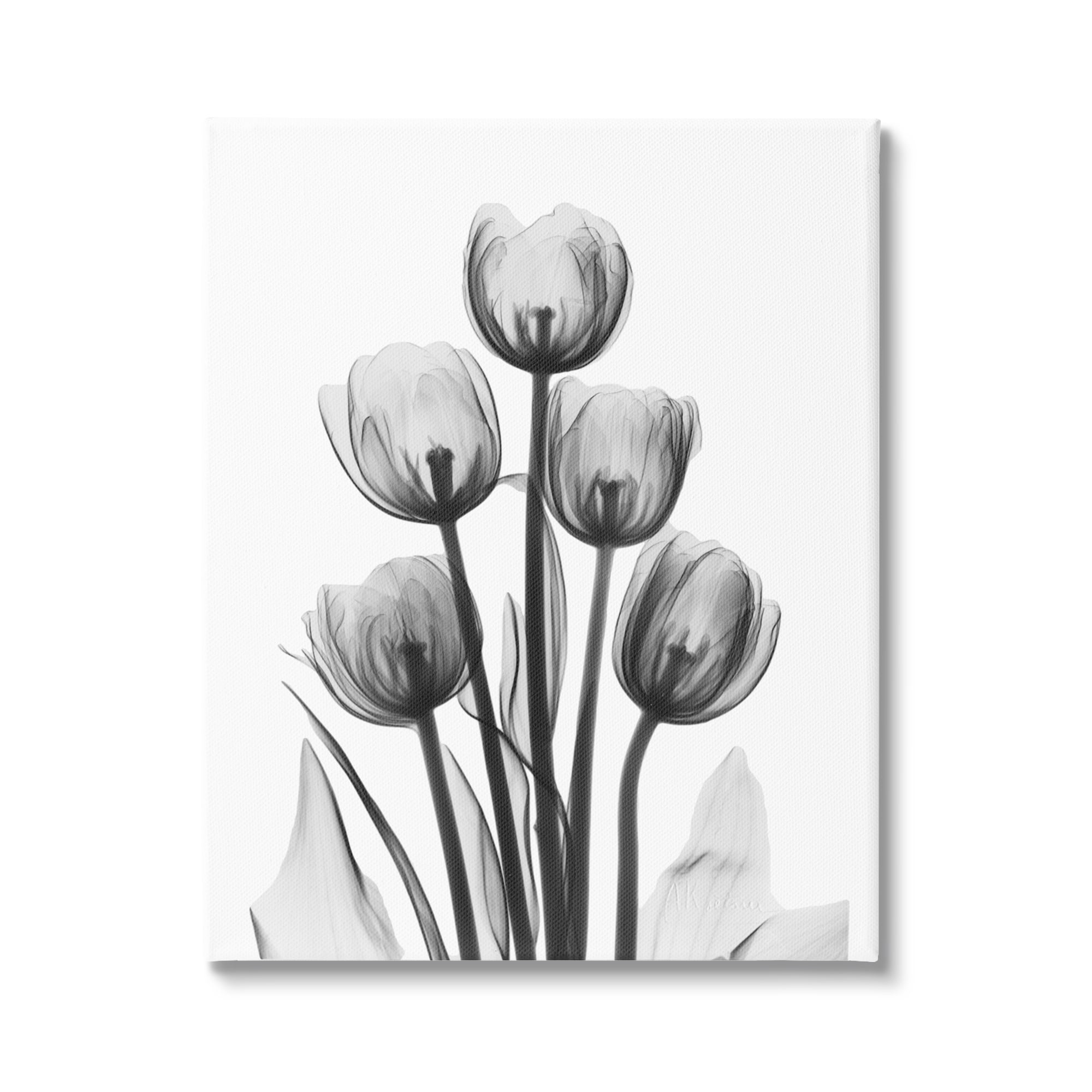 Stupell Industries Abstract Flower Silhouette Monochrome Tulips Design Photography Gallery-Wrapped Canvas Print Wall Art, 36x48, by Albert Koetsier