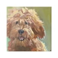 thumbnail image 1 of Stupell Industries Abstract Goldendoodle Painting Animals & Insects Painting Gallery Wrapped Canvas Art Print Wall Art, 36 x 36, 1 of 8