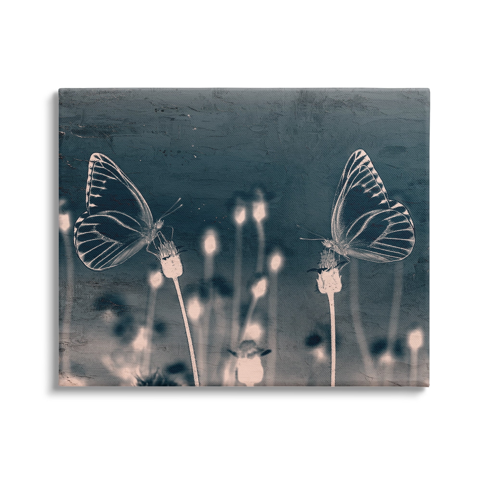 Stupell Industries Abstract Grey Butterflies Meadow Animals & Insects Painting Gallery Wrapped Canvas Print Wall Art