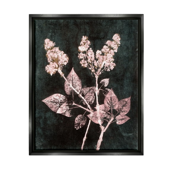 Stupell Industries Abstract Lilac Plant Botanical & Floral Painting Black Floater Framed Art Print Wall Art, 17 x 21
