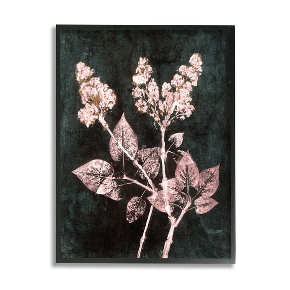 Stupell Industries Abstract Lilac Plant Botanical & Floral Painting Black Framed Art Print Wall Art, 11 x 14