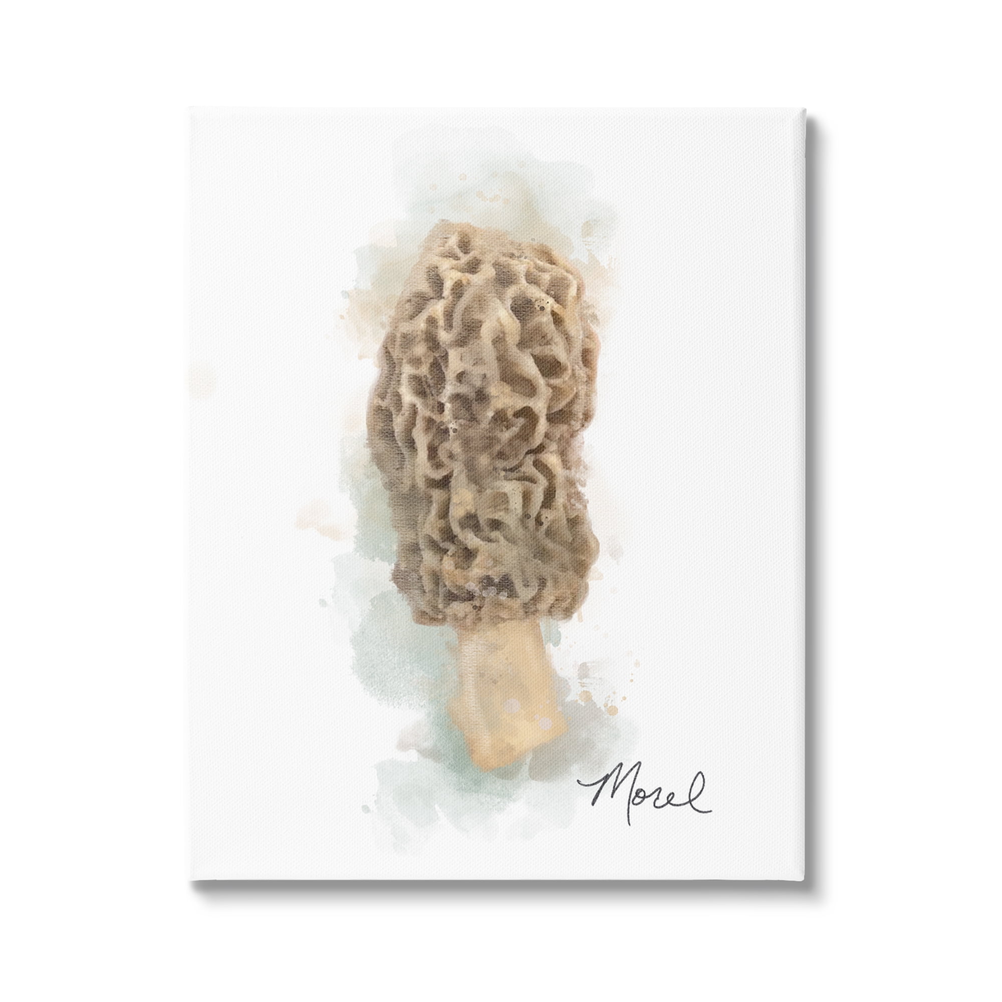 Stupell Industries Abstract Morel Mushroom Botanical & Floral Painting Gallery Wrapped Canvas Art Print Wall Art, 24 x 30