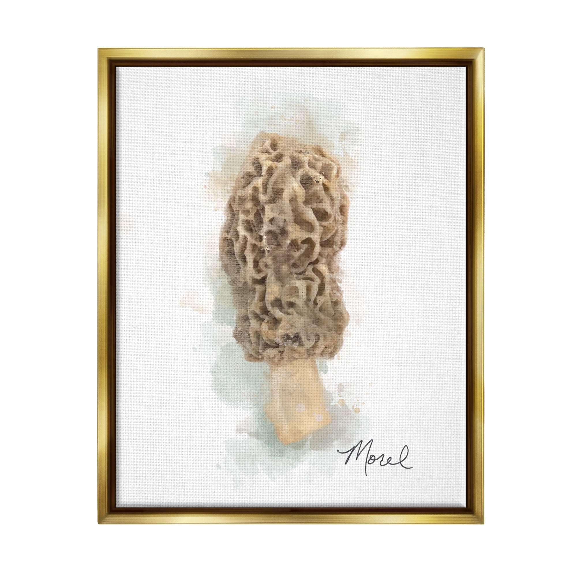 Stupell Industries Abstract Morel Mushroom Botanical & Floral Painting Gold Floater Framed Canvas Art Print Wall Art, 17 x 21