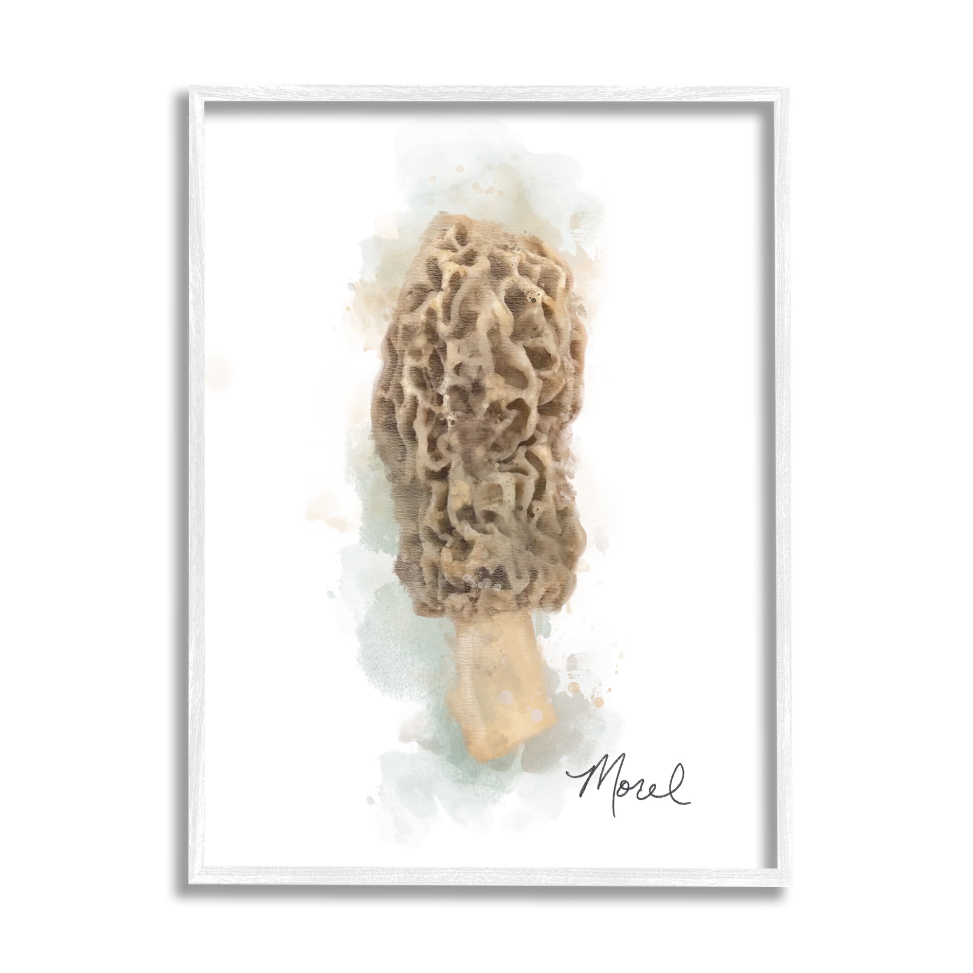 Stupell Industries Abstract Morel Mushroom Botanical & Floral Painting White Framed Art Print Wall Art, 24 x 30