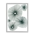 thumbnail image 1 of Stupell Industries Abstract Overlapping Flower Shapes Botanical & Floral Drawing Gray Framed Art Print Wall Art, 1 of 5