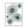 thumbnail image 1 of Stupell Industries Abstract Overlapping Flower Shapes Botanical & Floral Drawing White Framed Art Print Wall Art, 1 of 5