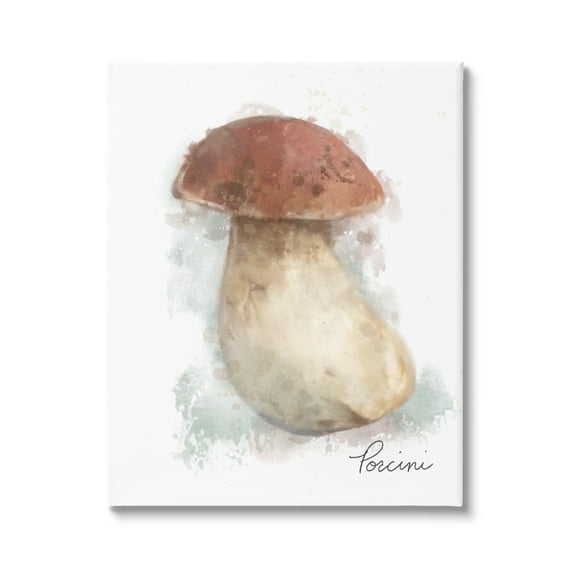 Stupell Industries Abstract Porcini Mushroom Botanical & Floral Painting Gallery Wrapped Canvas Art Print Wall Art, 16 x 20