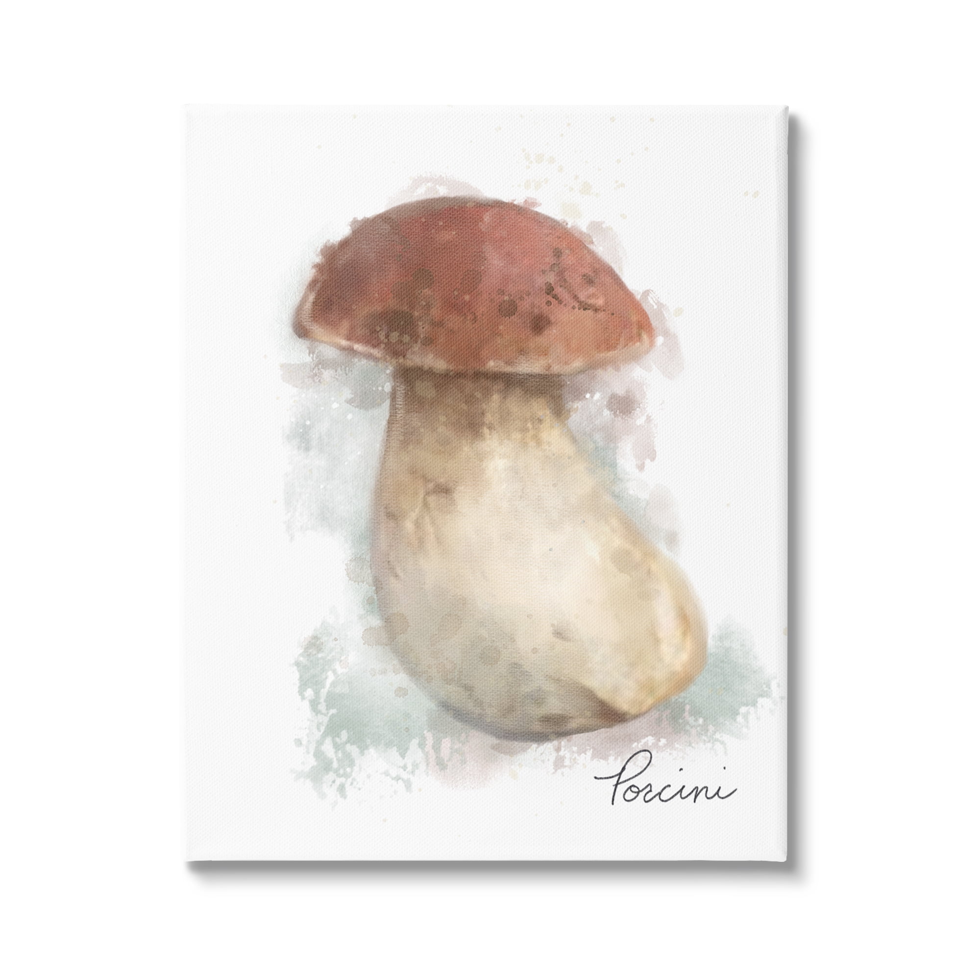 Stupell Industries Abstract Porcini Mushroom Botanical & Floral Painting Gallery Wrapped Canvas Art Print Wall Art, 24 x 30