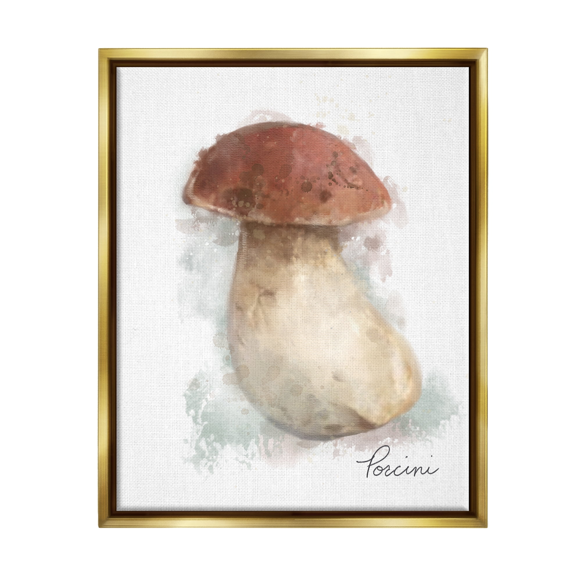 Stupell Industries Abstract Porcini Mushroom Botanical & Floral Painting Gold Floater Framed Canvas Art Print Wall Art, 17 x 21