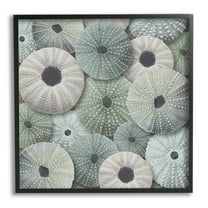 Stupell Industries Abstract Sea Urchins Nature Painting Black Framed Art Print Wall Art, 12 x 12