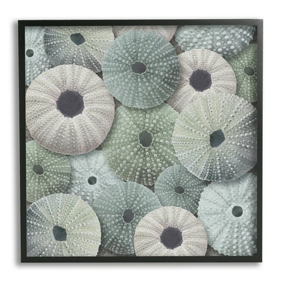 Stupell Industries Abstract Sea Urchins Nature Painting Black Framed Art Print Wall Art, 12 x 12