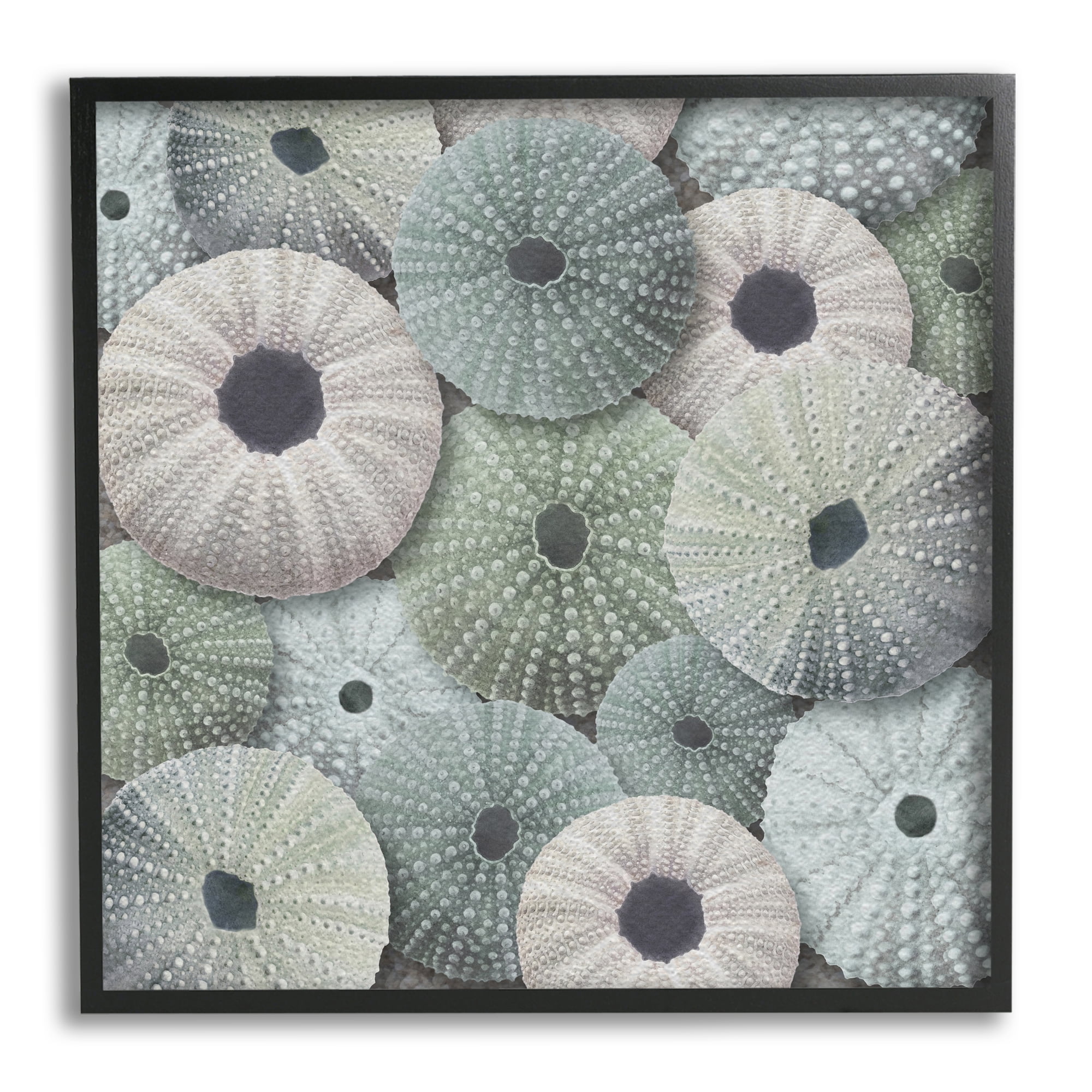 Stupell Industries Abstract Sea Urchins Nature Painting Black Framed Art Print Wall Art, 17 x 17
