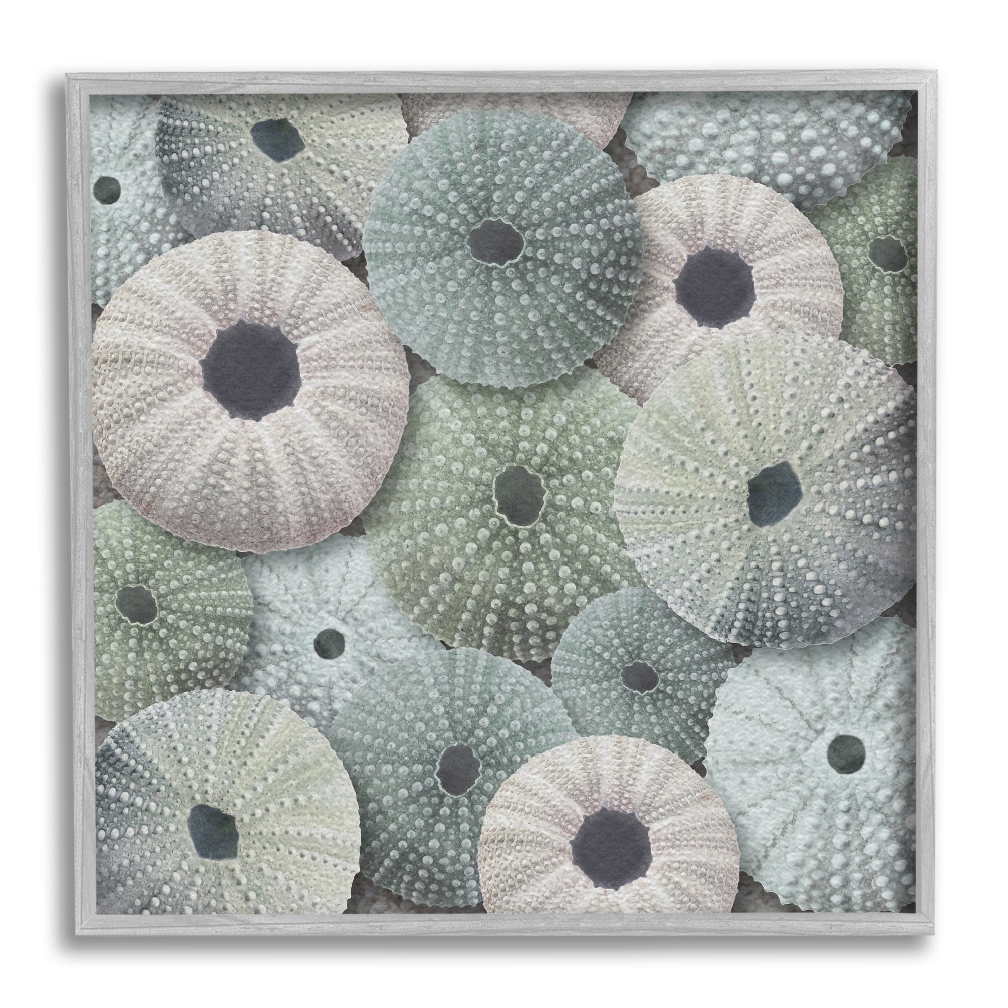 Stupell Industries Abstract Sea Urchins Nature Painting Gray Framed Art Print Wall Art, 12 x 12