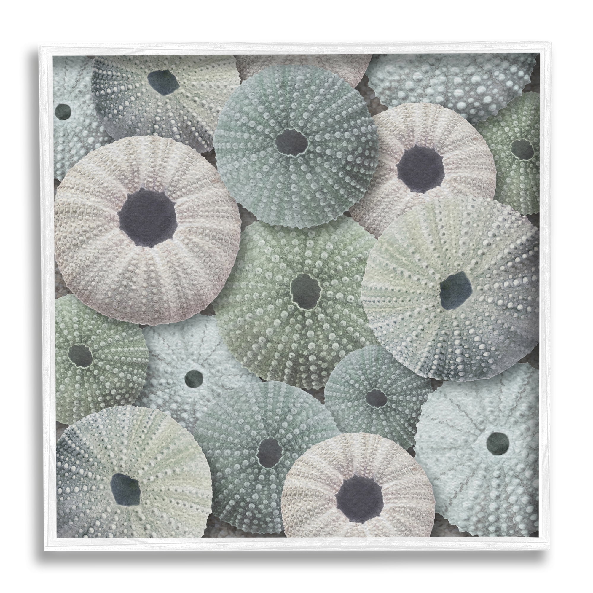 Stupell Industries Abstract Sea Urchins Nature Painting White Framed Art Print Wall Art, 12 x 12