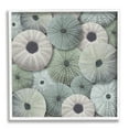 thumbnail image 1 of Stupell Industries Abstract Sea Urchins Nature Painting White Framed Art Print Wall Art, 12 x 12, 1 of 9