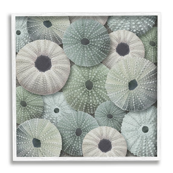 Stupell Industries Abstract Sea Urchins Nature Painting White Framed Art Print Wall Art, 12 x 12