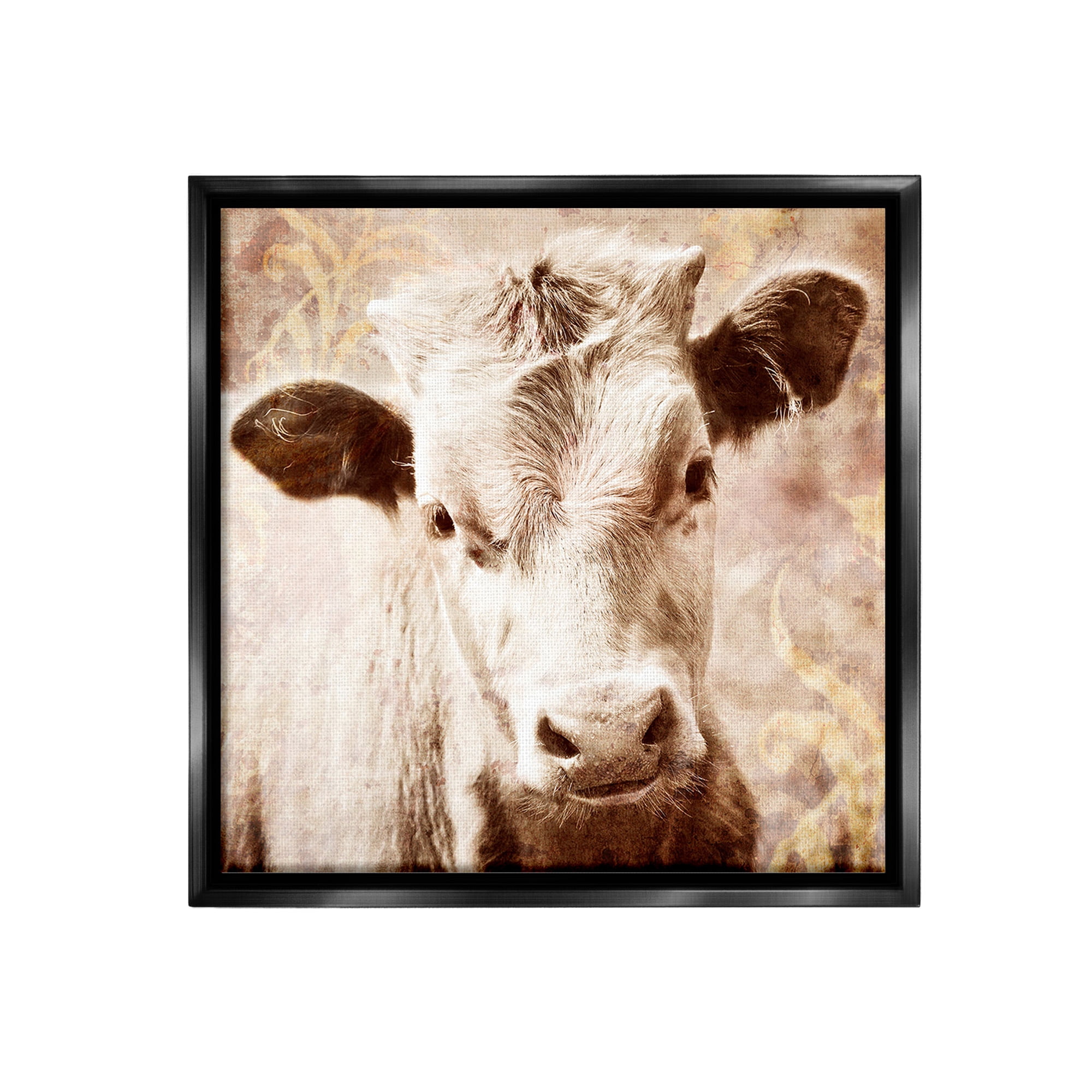 Stupell Industries Abstract Sepia Cattle Animals & Insects Photography Black Floater Framed Canvas Art Print Wall Art, 25 x 25