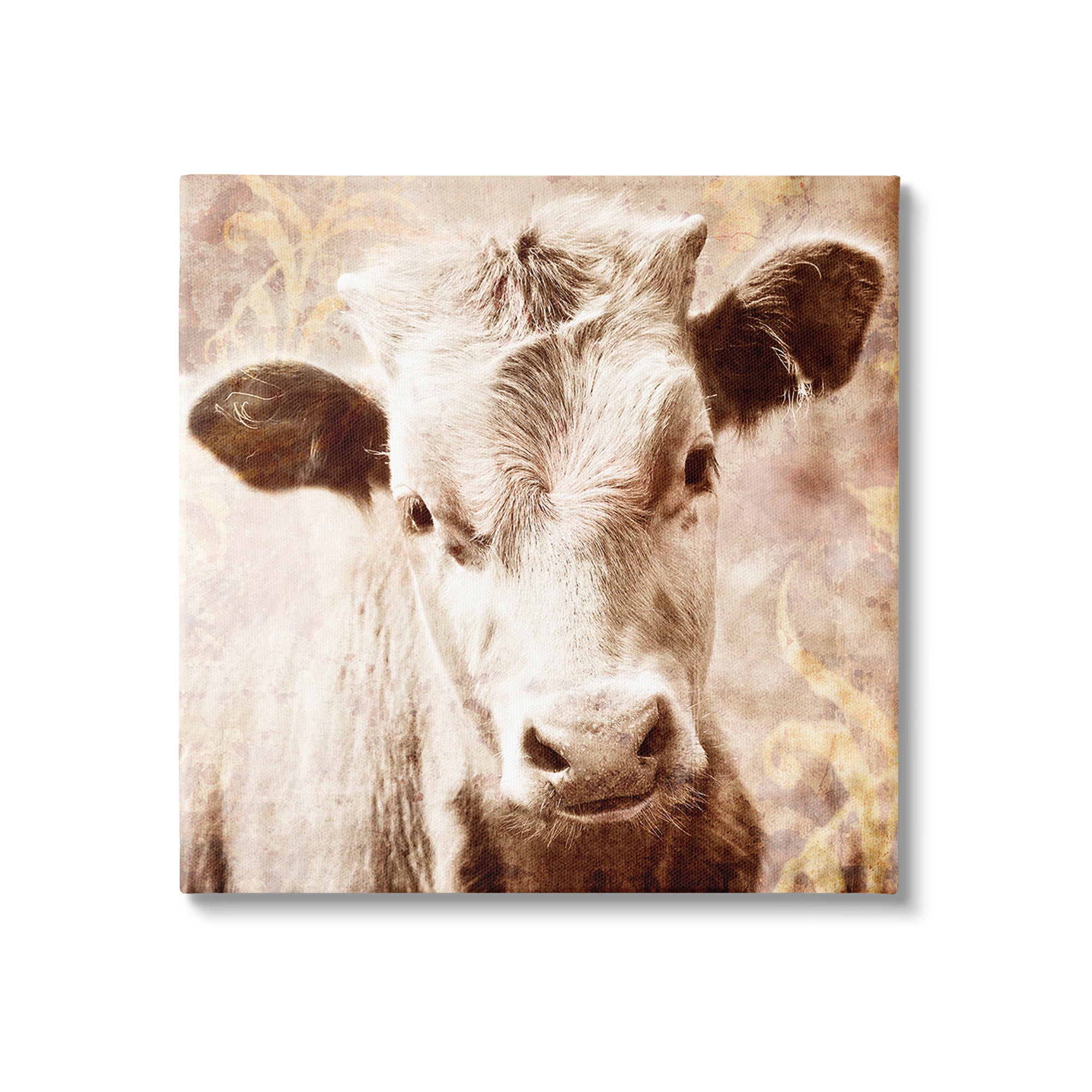 Stupell Industries Abstract Sepia Cattle Animals & Insects Photography Gallery Wrapped Canvas Art Print Wall Art, 24 x 24