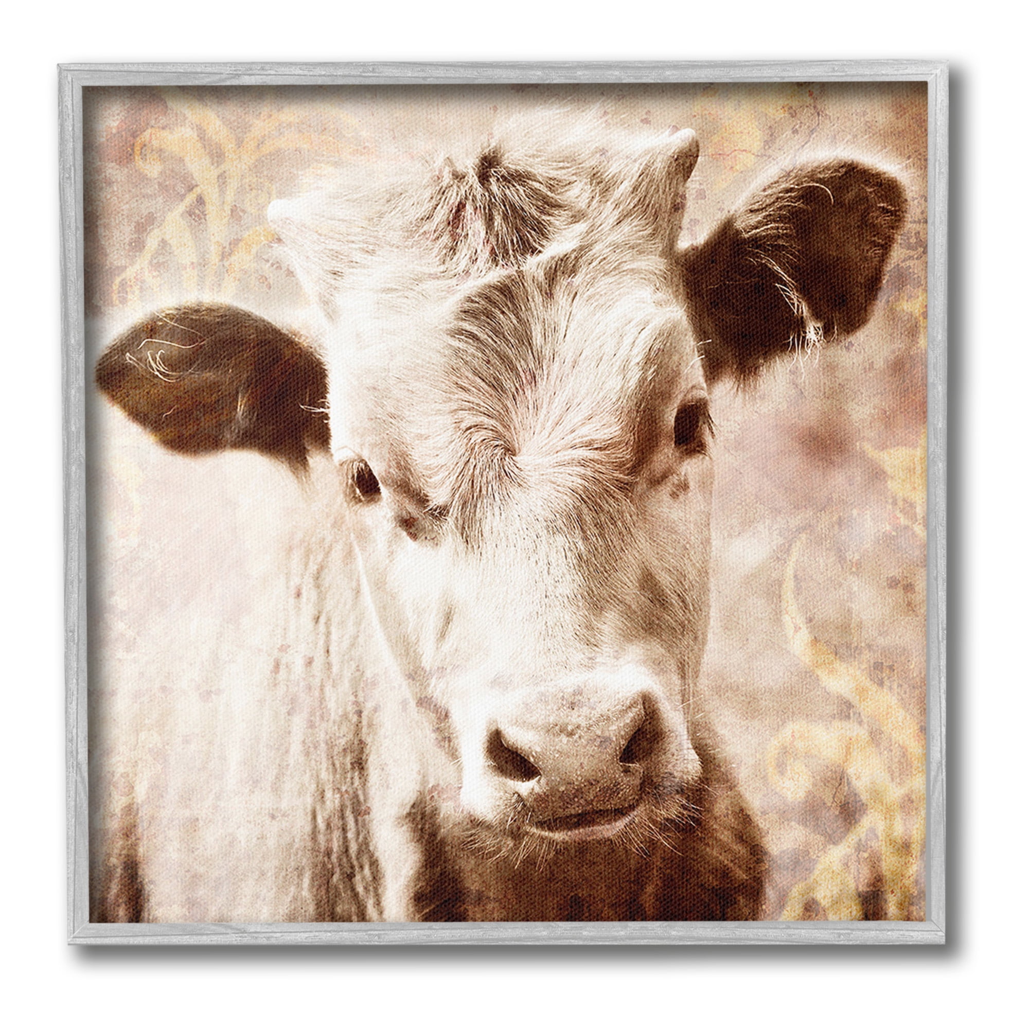 Stupell Industries Abstract Sepia Cattle Animals & Insects Photography Gray Framed Art Print Wall Art, 12 x 12