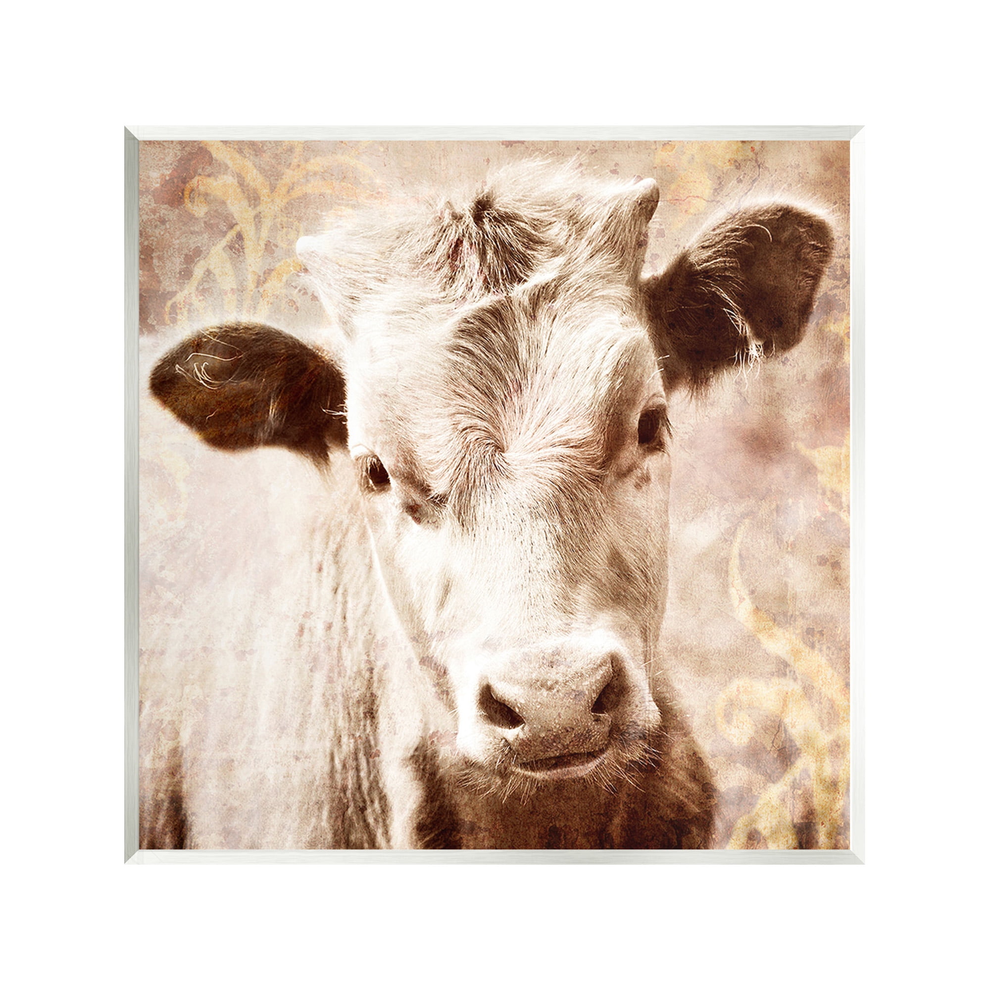 Stupell Industries Abstract Sepia Cattle Animals & Insects Photography Unframed Art Print Wall Art, 12 x 12