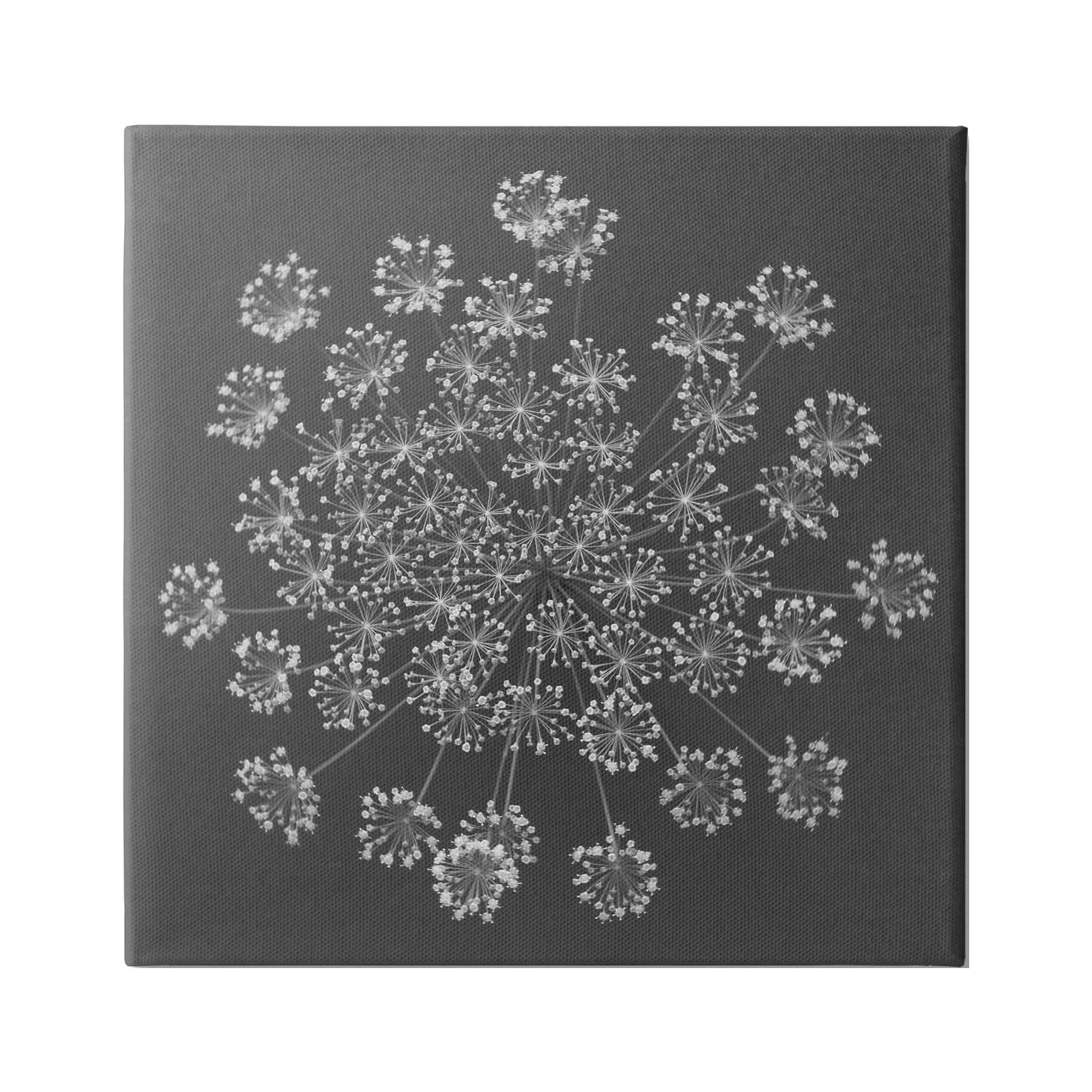 Stupell Industries Abstract Single Dandelion Flower Puff Above View Design Canvas Wall Art, 17 x 17, Design by Barry Rosenthal
