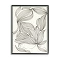 thumbnail image 1 of Stupell Industries Abstract Striped Floral Petals Graphic Art Black Framed Art Print Wall Art, Design by Regina Moore, 1 of 7