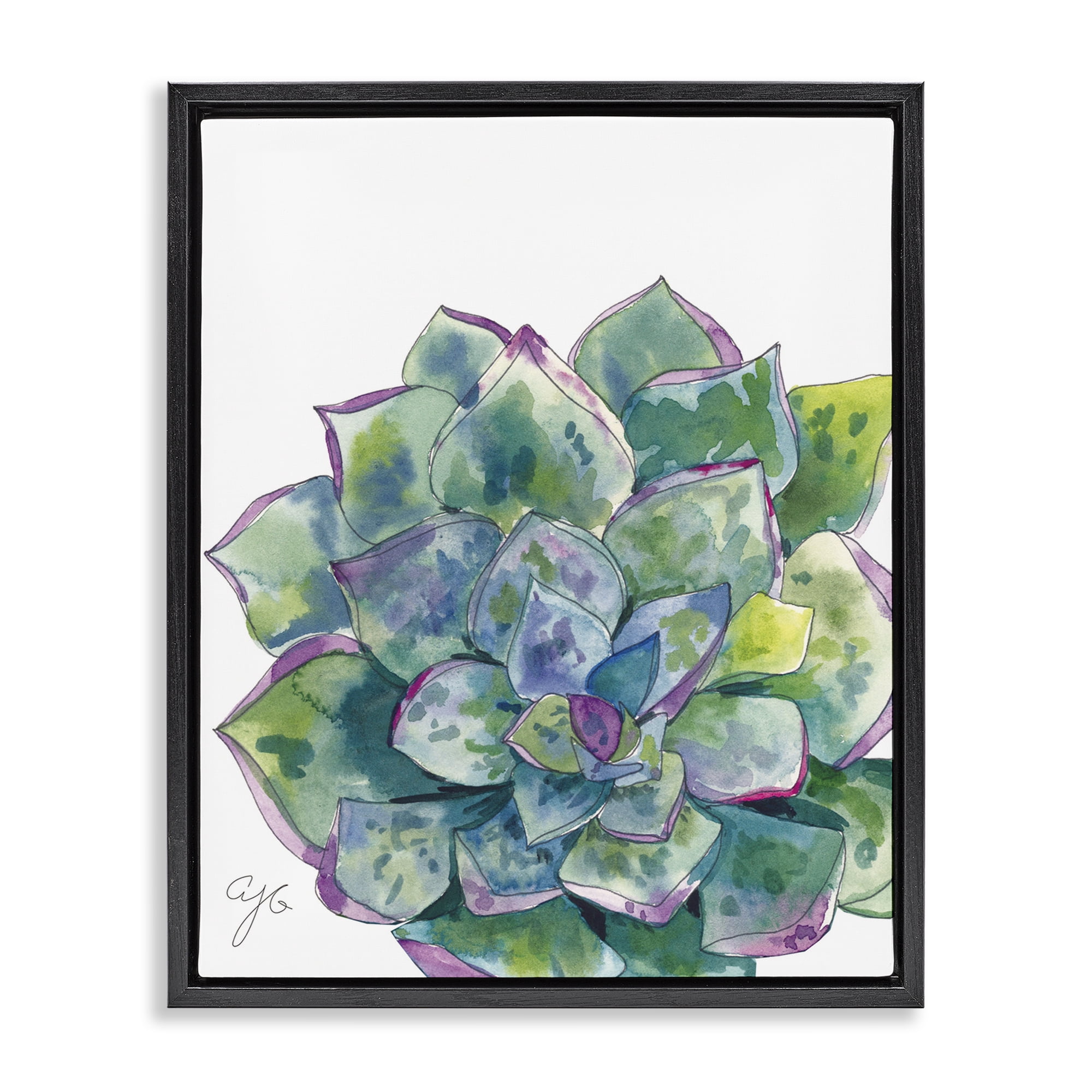 Stupell Industries Abstract Succulent Watercolor Botanical & Floral Painting Black Floater Framed Art Print Wall Art, 17 x 21