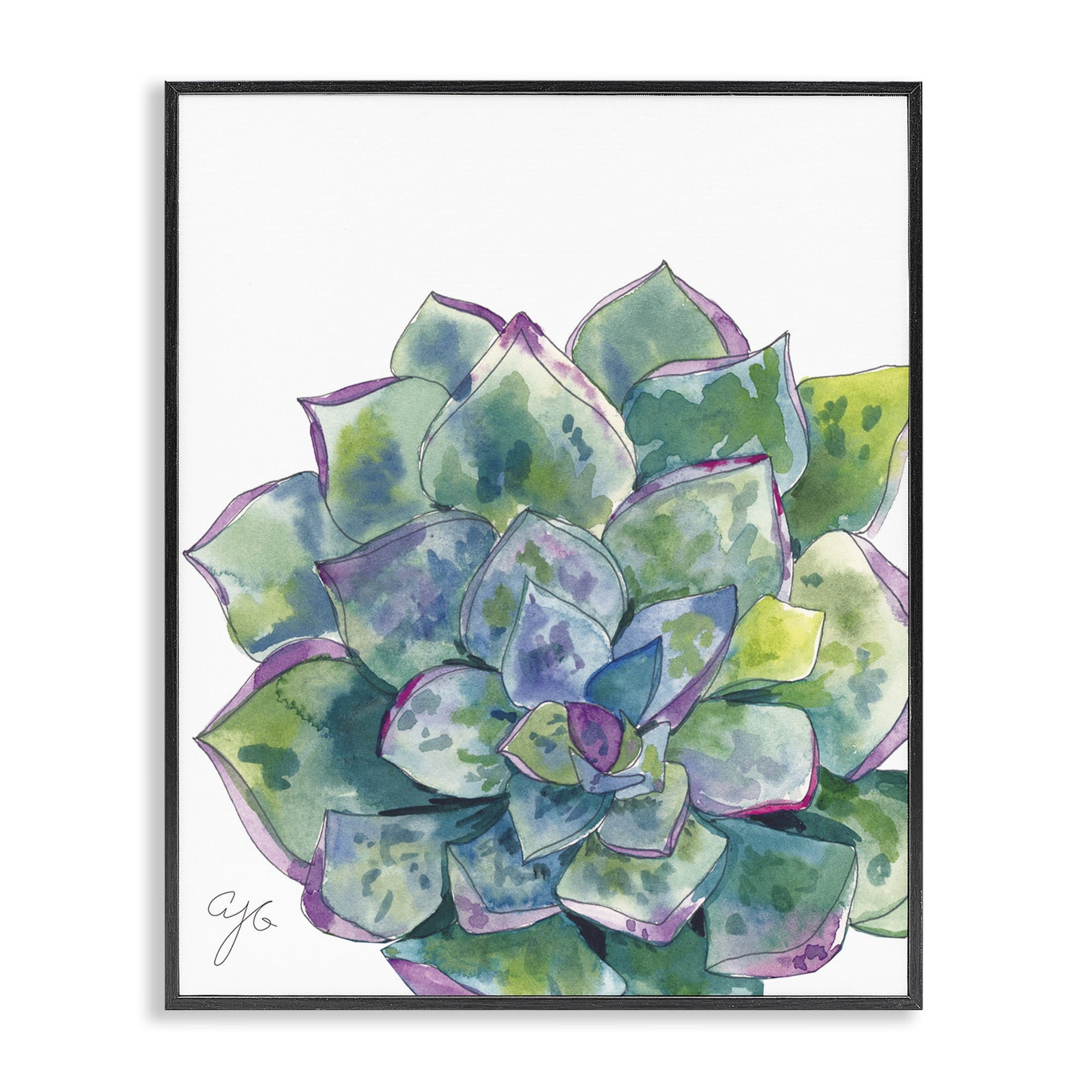 Stupell Industries Abstract Succulent Watercolor Botanical & Floral Painting Black Framed Art Print Wall Art, 16 x 20