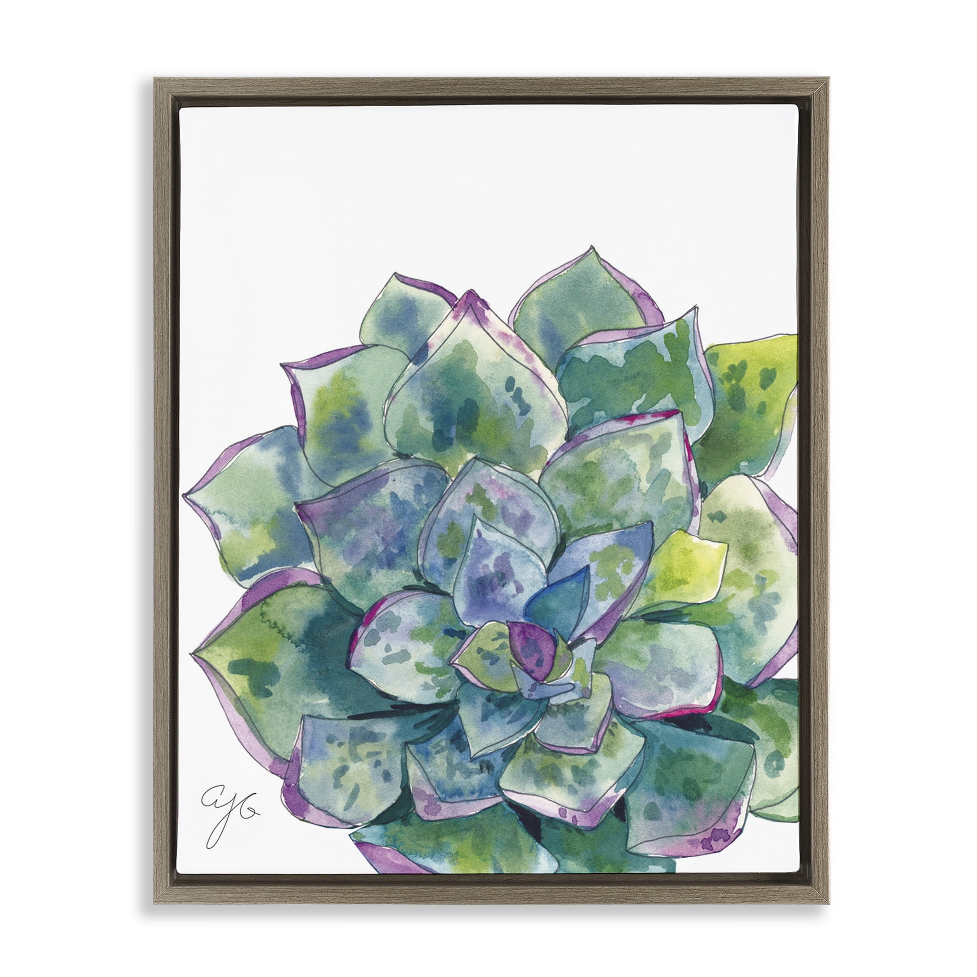 Stupell Industries Abstract Succulent Watercolor Botanical & Floral Painting Brown Floater Framed Art Print Wall Art, 17 x 21