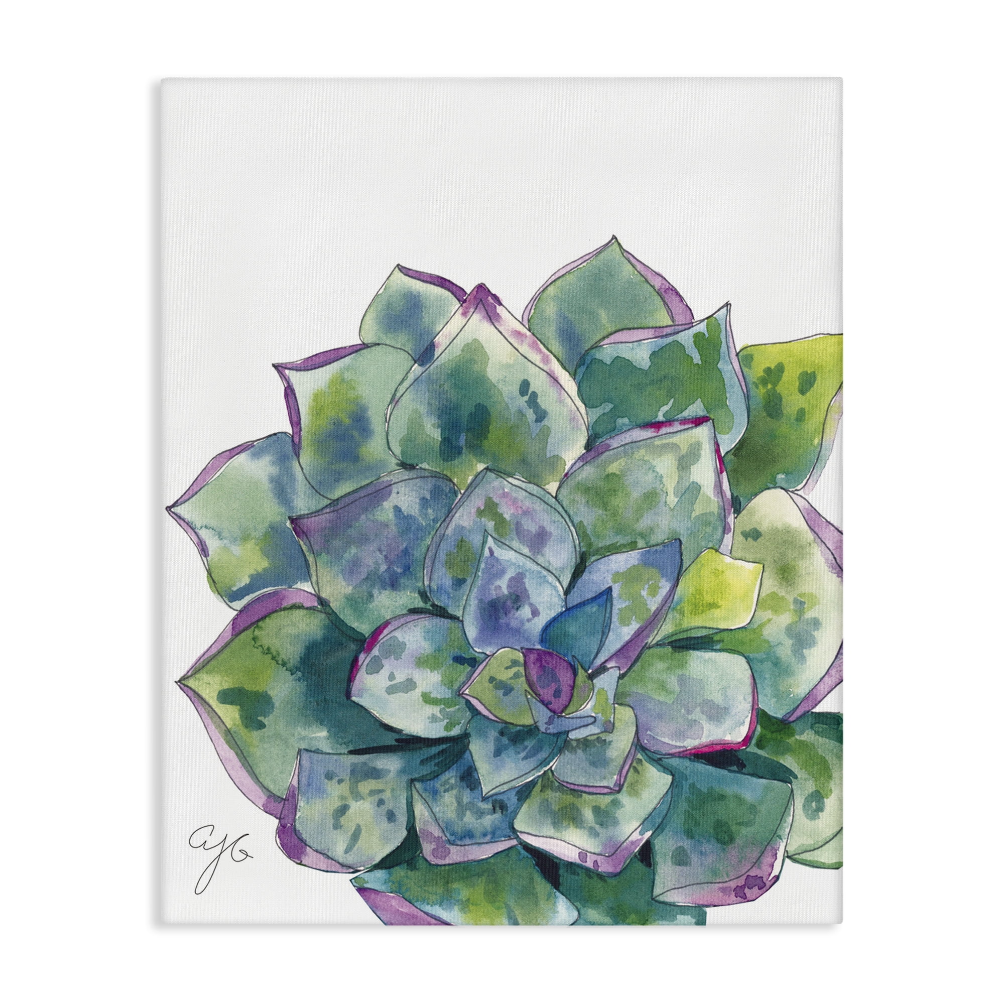Stupell Industries Abstract Succulent Watercolor Botanical & Floral Painting Gallery Wrapped Canvas Art Print Wall Art, 36 x 48