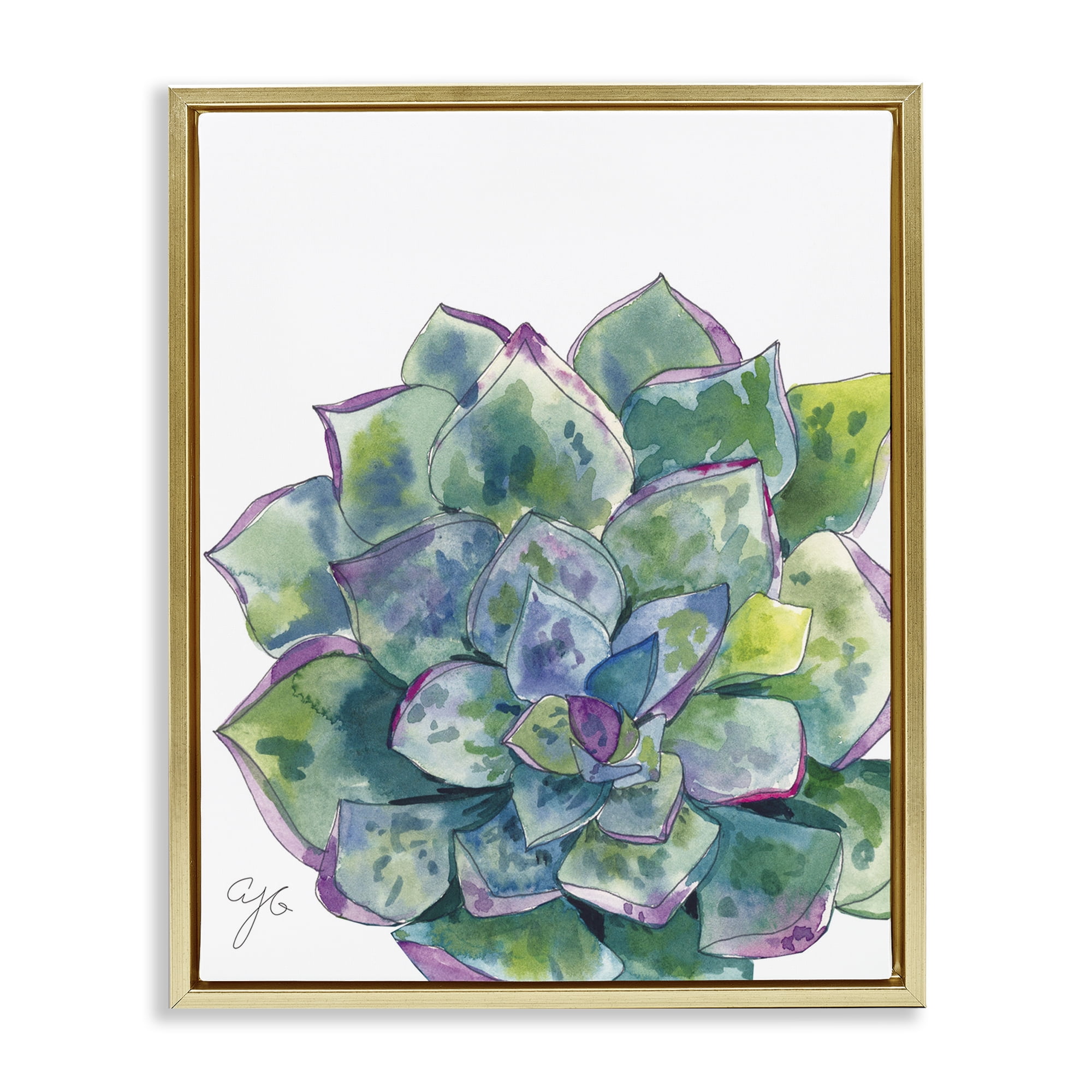 Stupell Industries Abstract Succulent Watercolor Botanical & Floral Painting Gold Floater Framed Art Print Wall Art, 25 x 31
