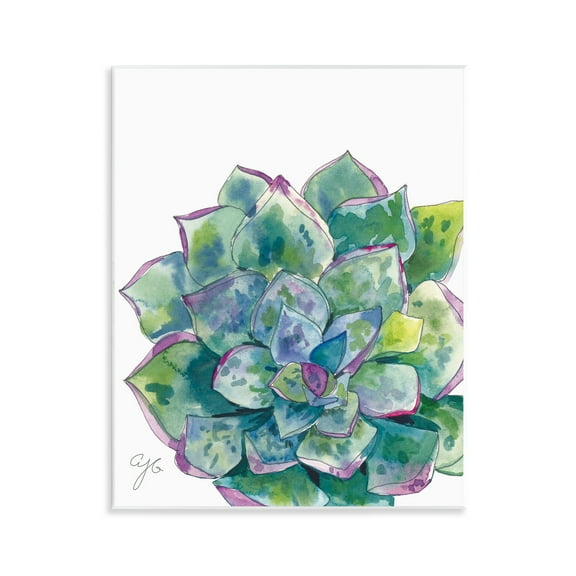 Stupell Industries Abstract Succulent Watercolor Botanical & Floral Painting Unframed Art Print Wall Art, 11 x 14