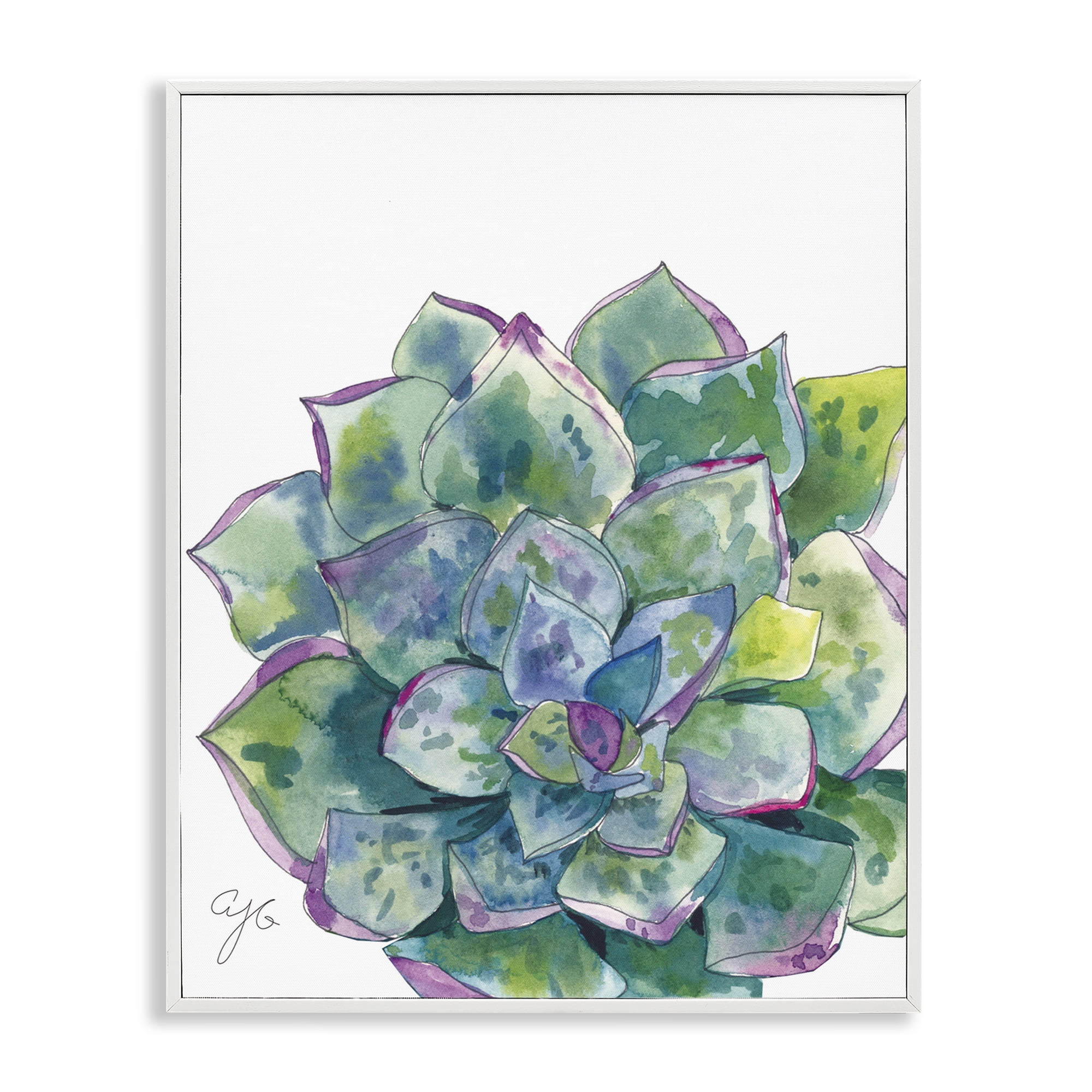 Stupell Industries Abstract Succulent Watercolor Botanical & Floral Painting White Framed Art Print Wall Art, 24 x 30