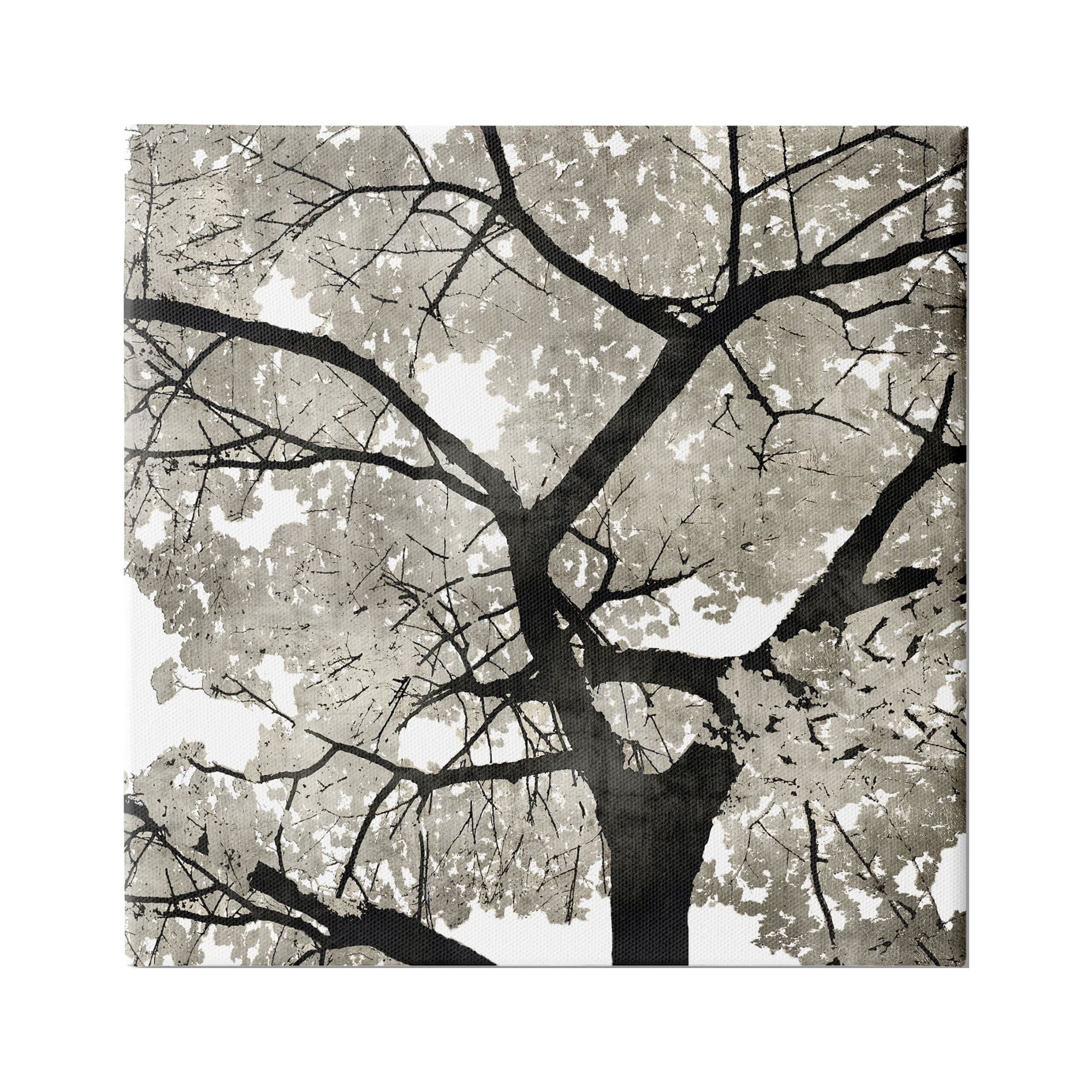 Stupell Industries Abstract Tree Branches Bold Black Grey Wilderness, 24 x 24,Design by Kate Bennett