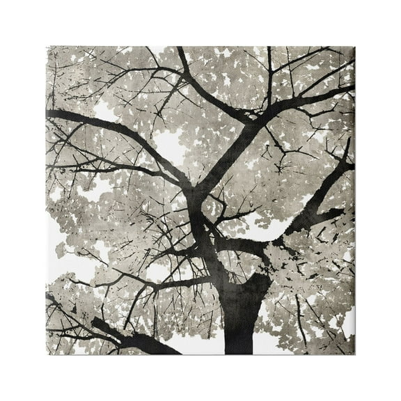Stupell Industries Abstract Tree Branches Bold Black Grey Wilderness, 30 x 30,Design by Kate Bennett