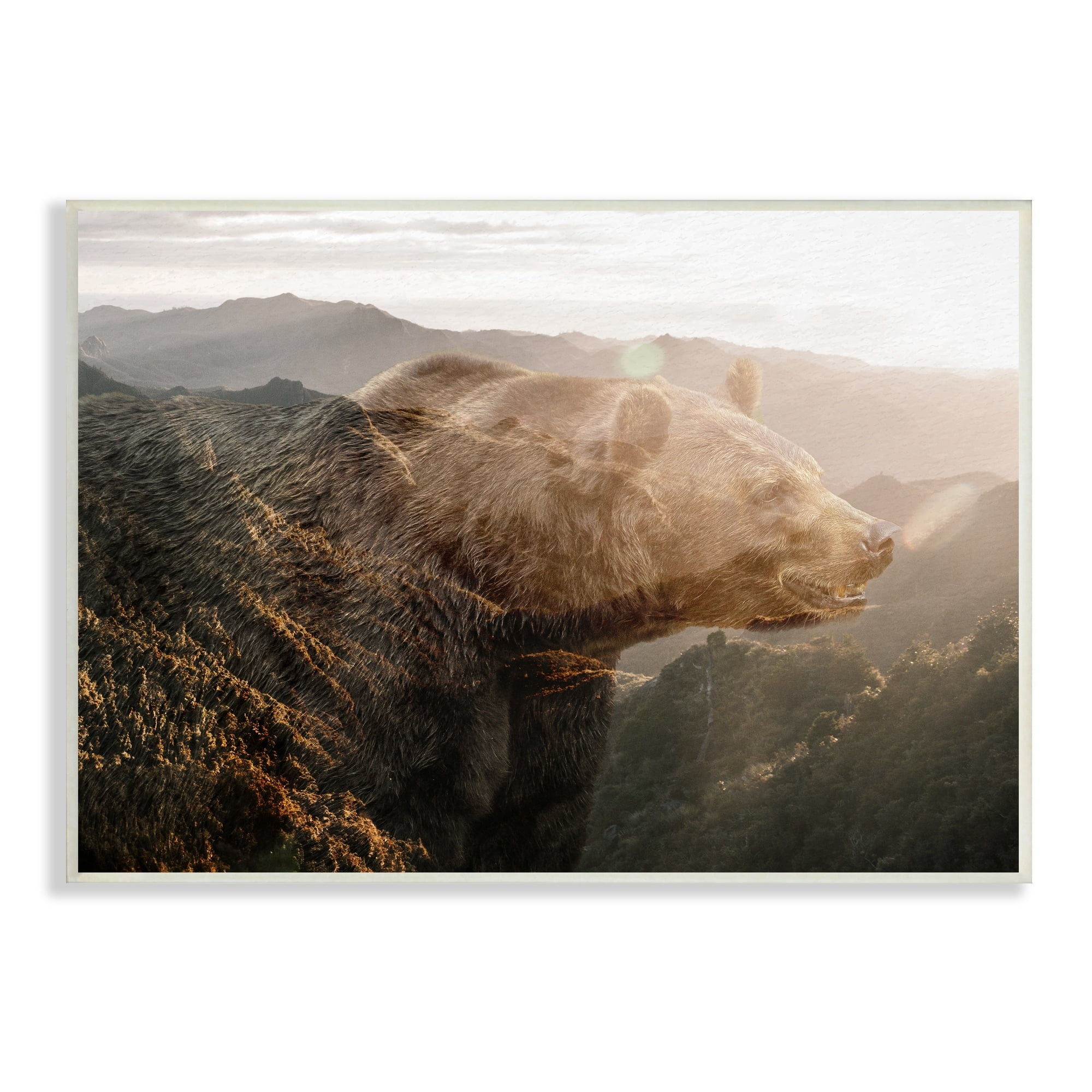 Stupell Industries Abstract Wilderness Bear Rustic Mountain Range Modern Photography, 19 x 13,Design by Ann Bailey